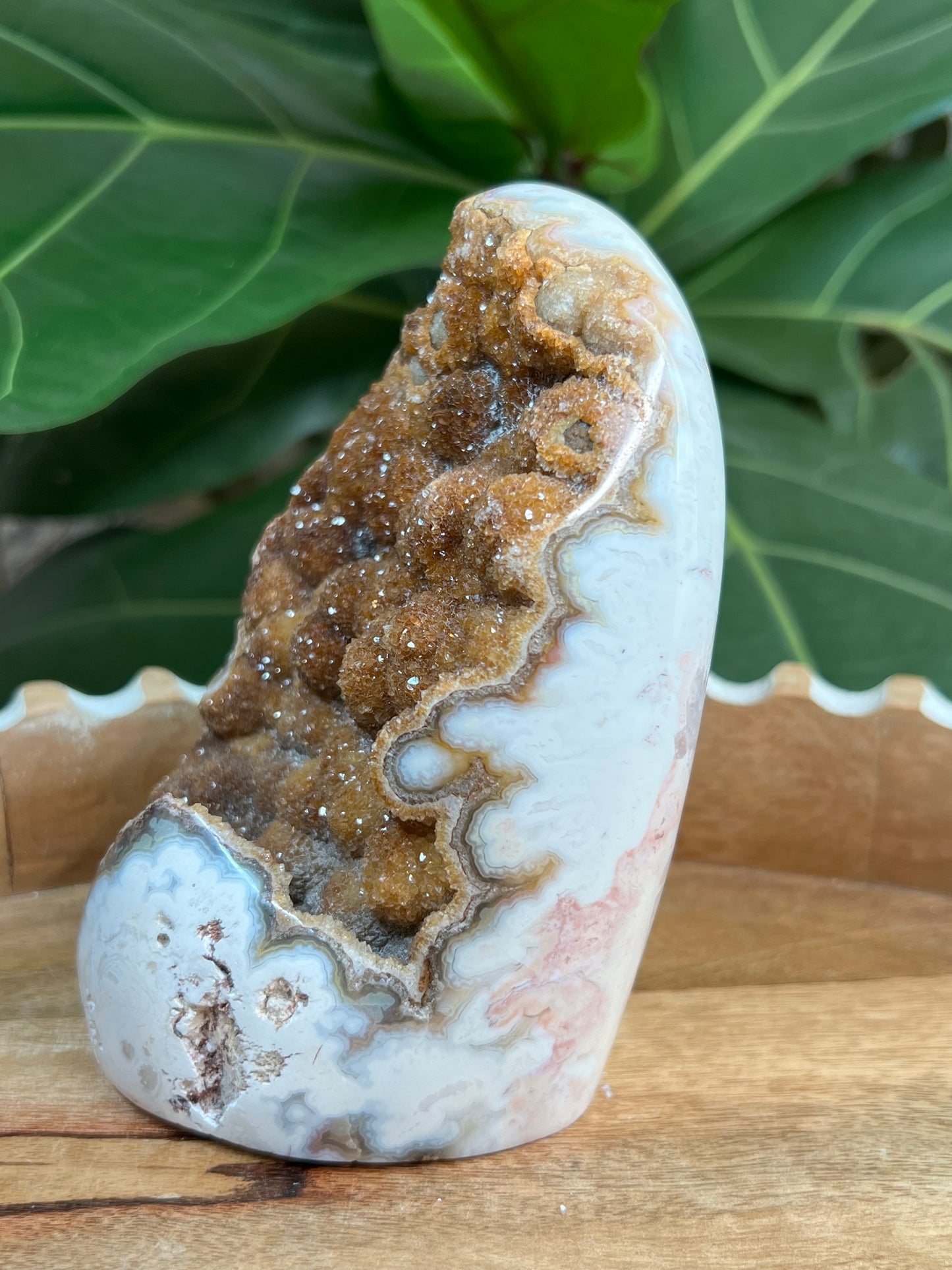 Pink Plume Agate