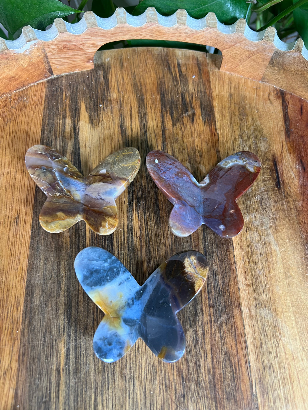 River Jasper 3D Butterflies
