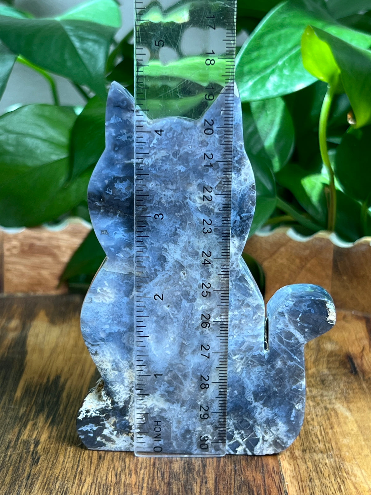 Blue Plume Agate Cat: MA