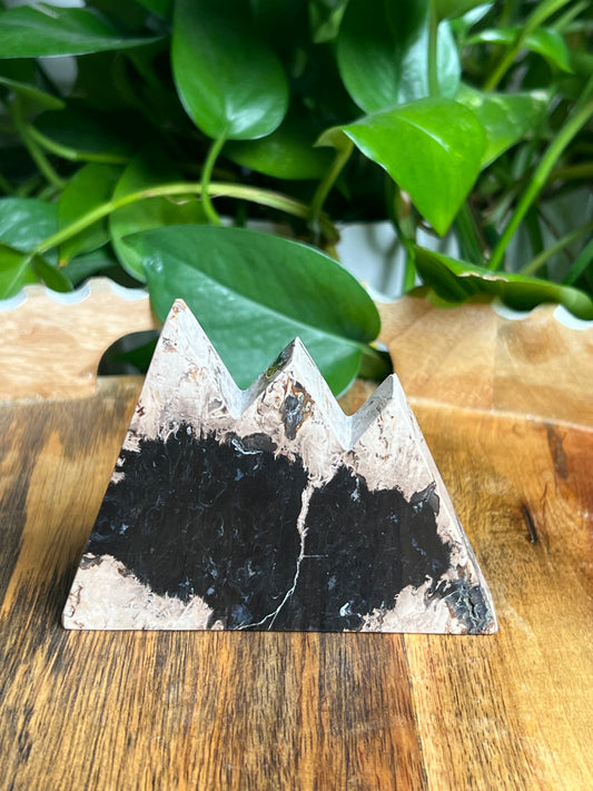 Palm Root Mountain: BN