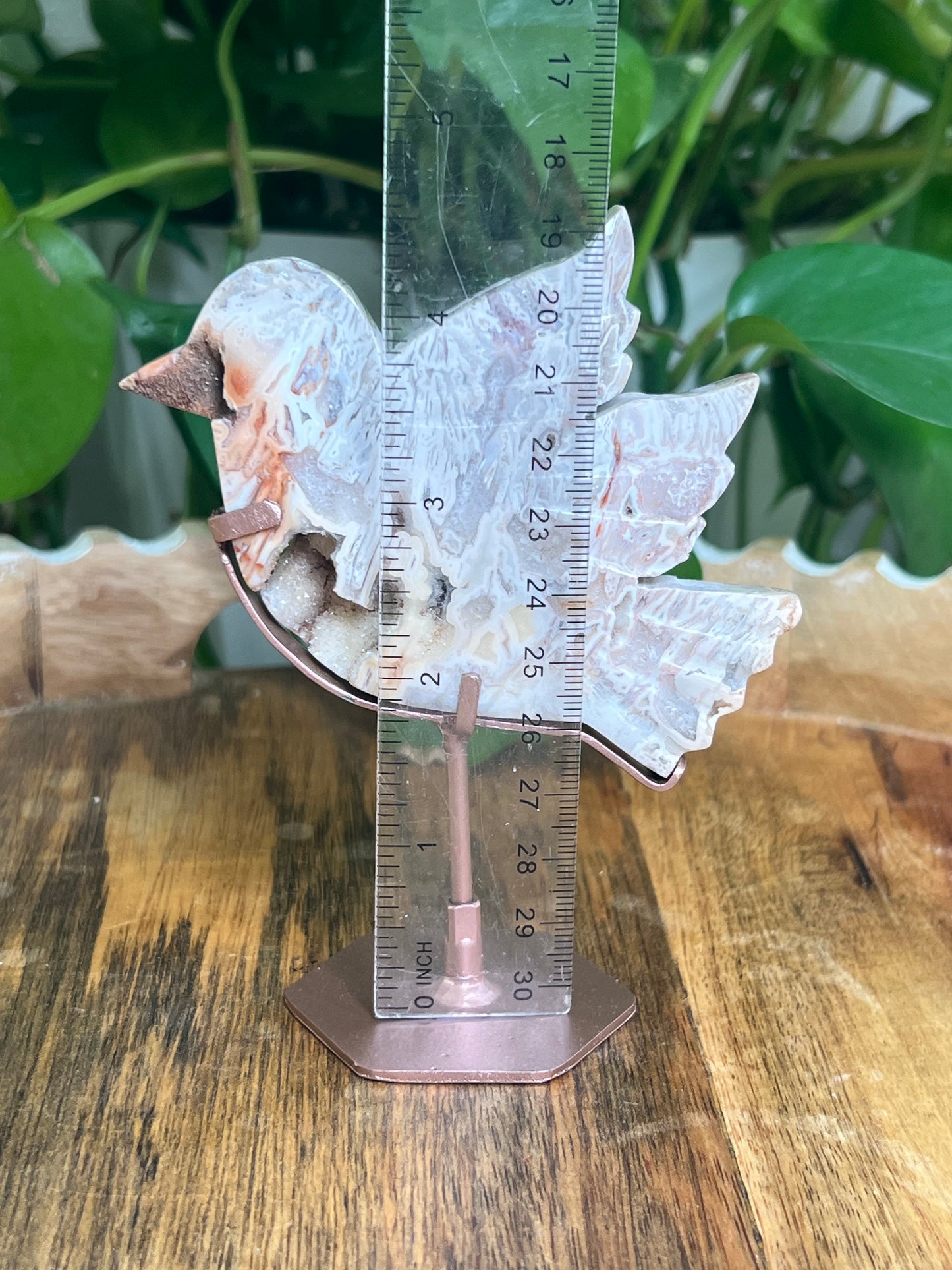 Tube Agate Bird: AC