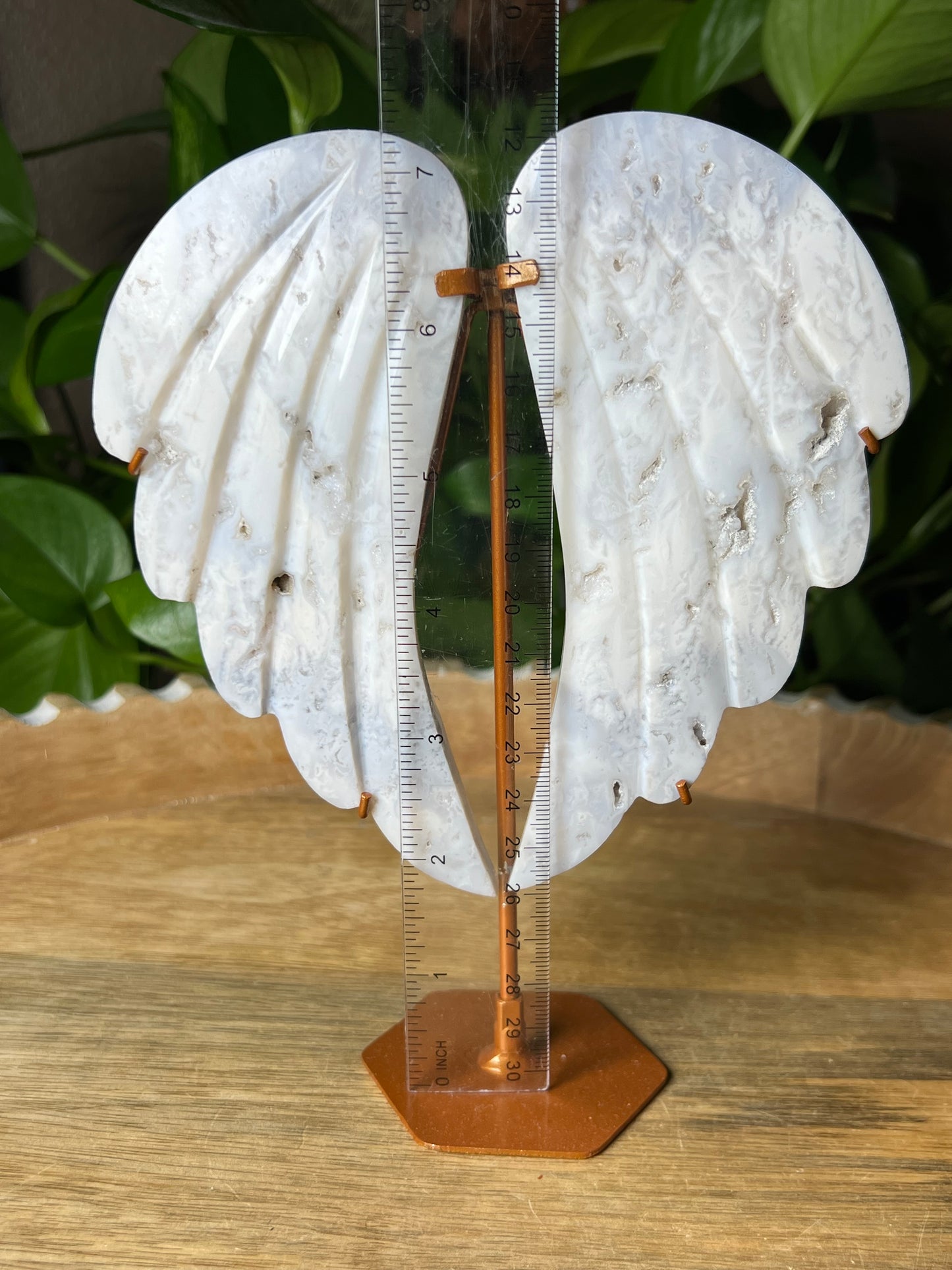 White Plume Agate Wings