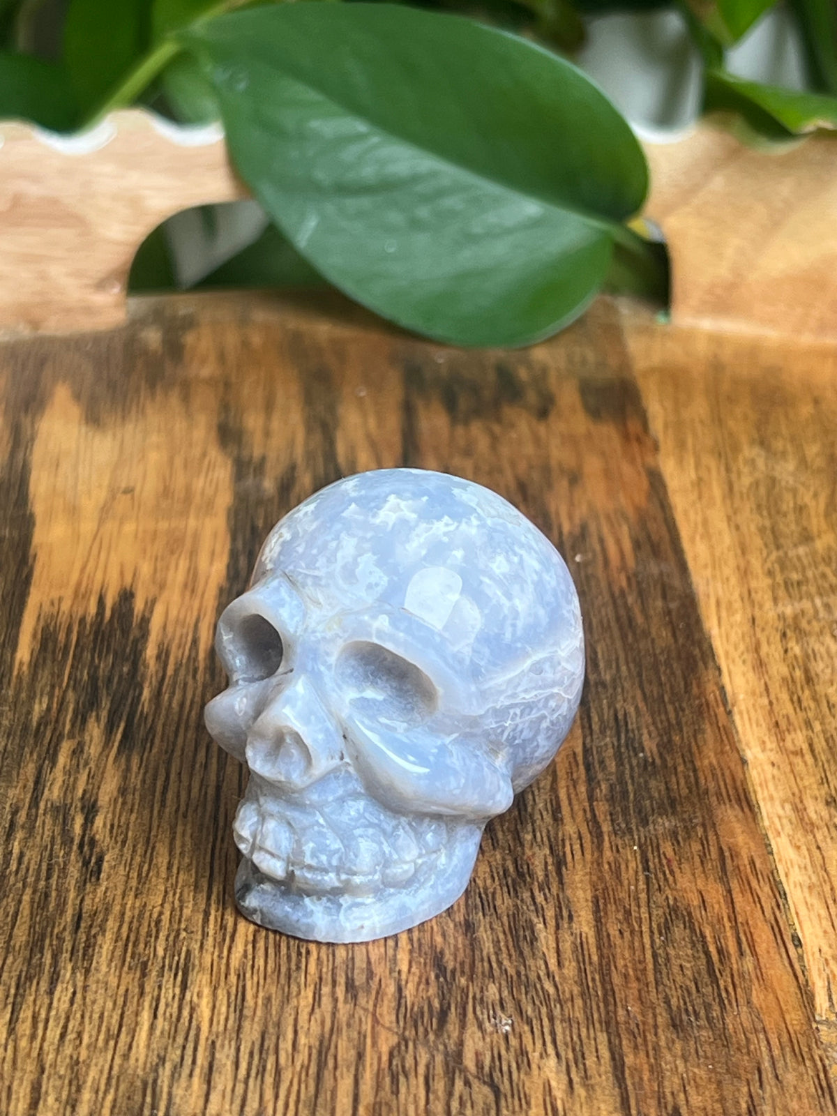 Blue Plume Agate Skull: BA
