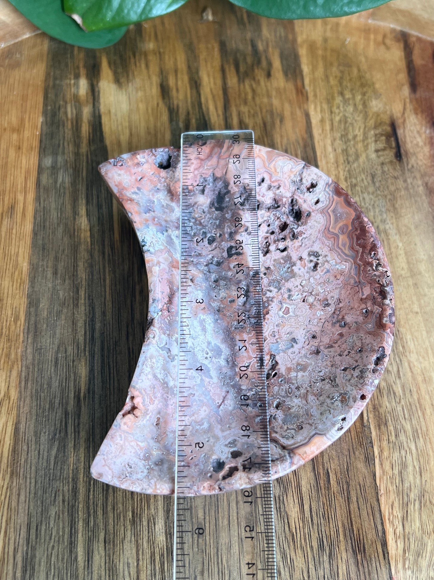 Crazy Lace Agate Moon Bowl: B