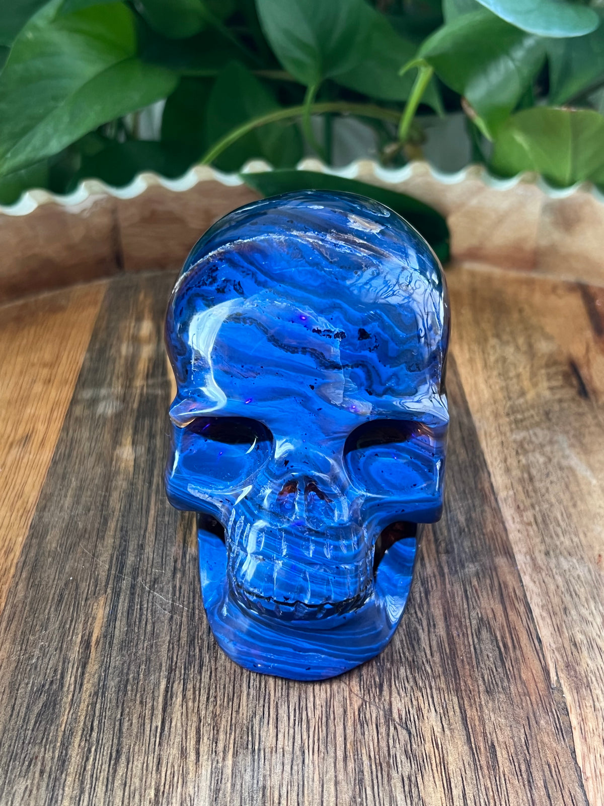 Blue Amber Skull: NB