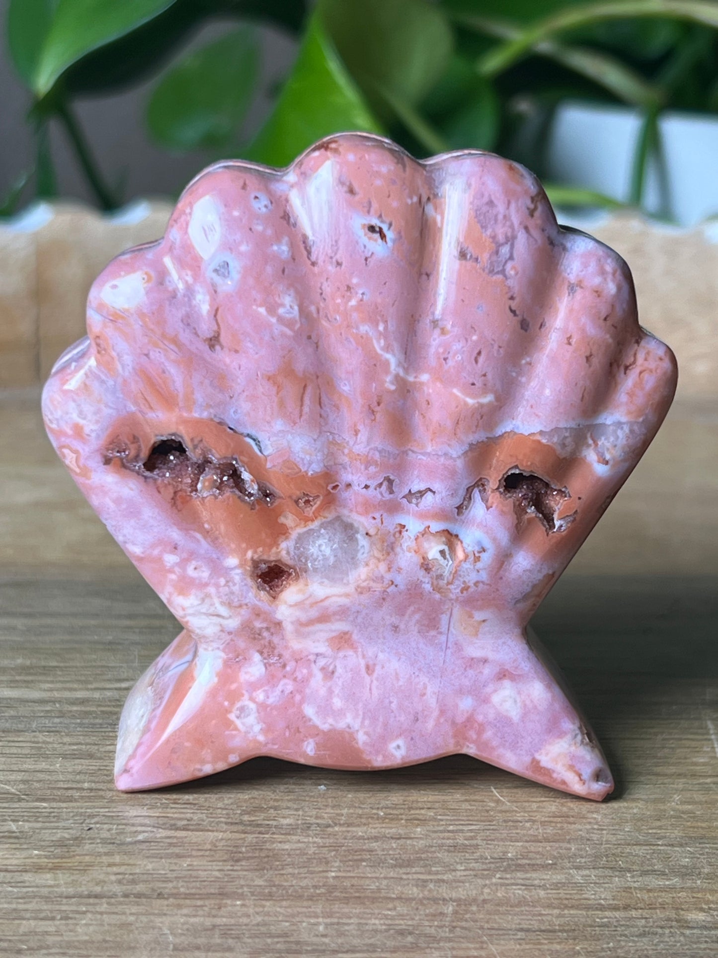 Pink Carnelian Shell