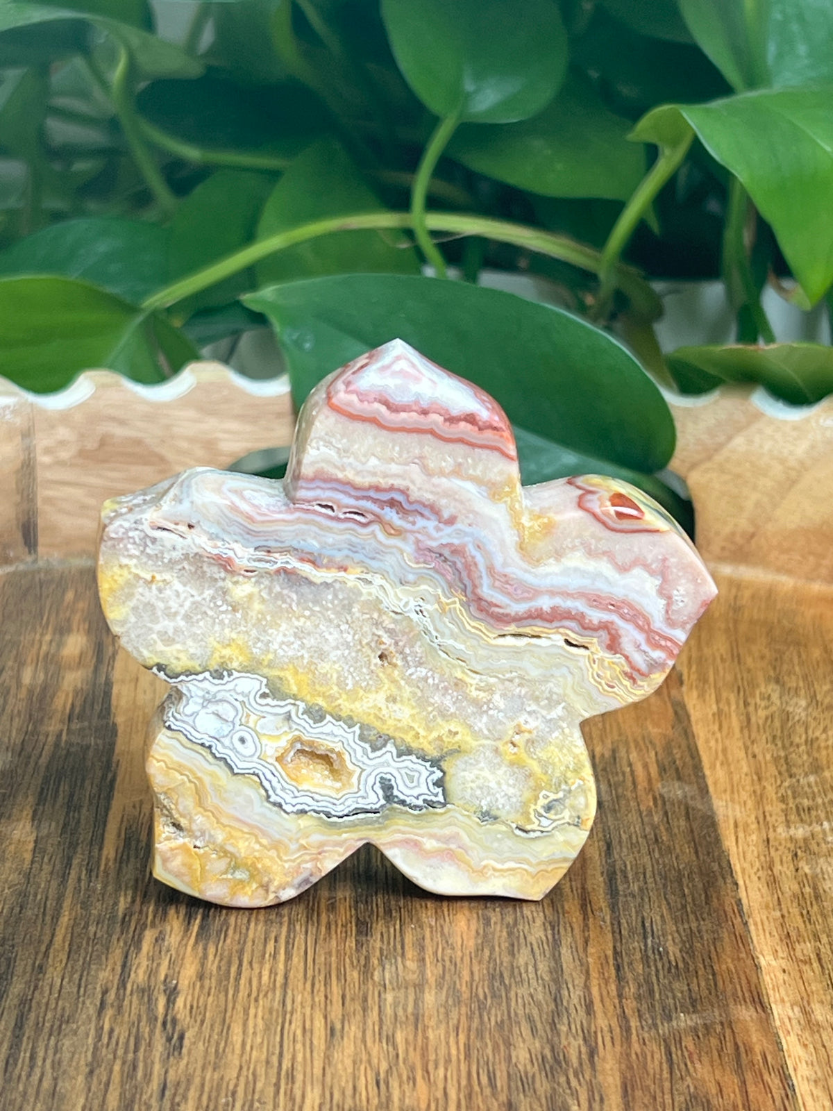 Crazy Lace Agate Flower: CE