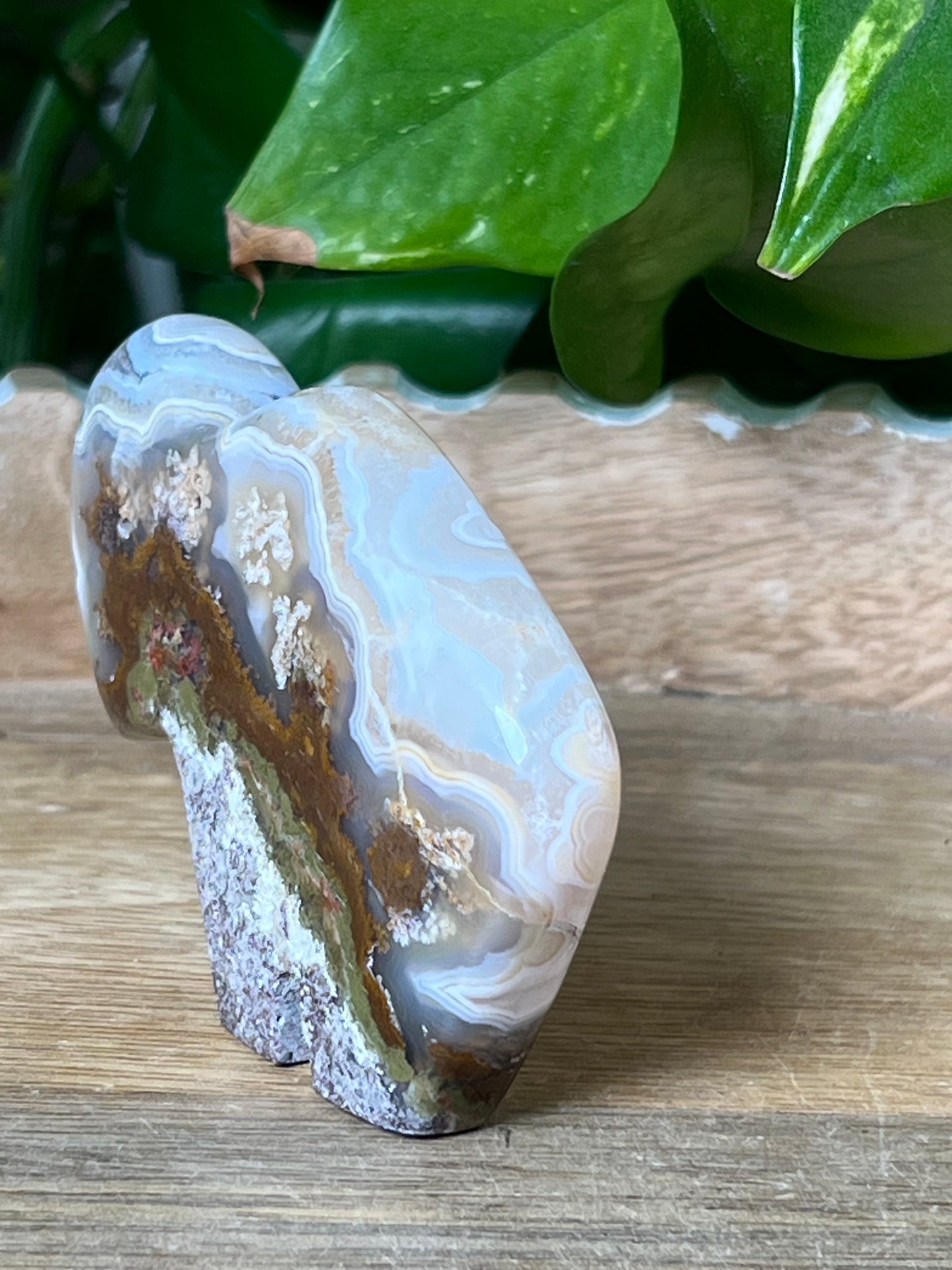 Scenic Moss Agate Buffalo