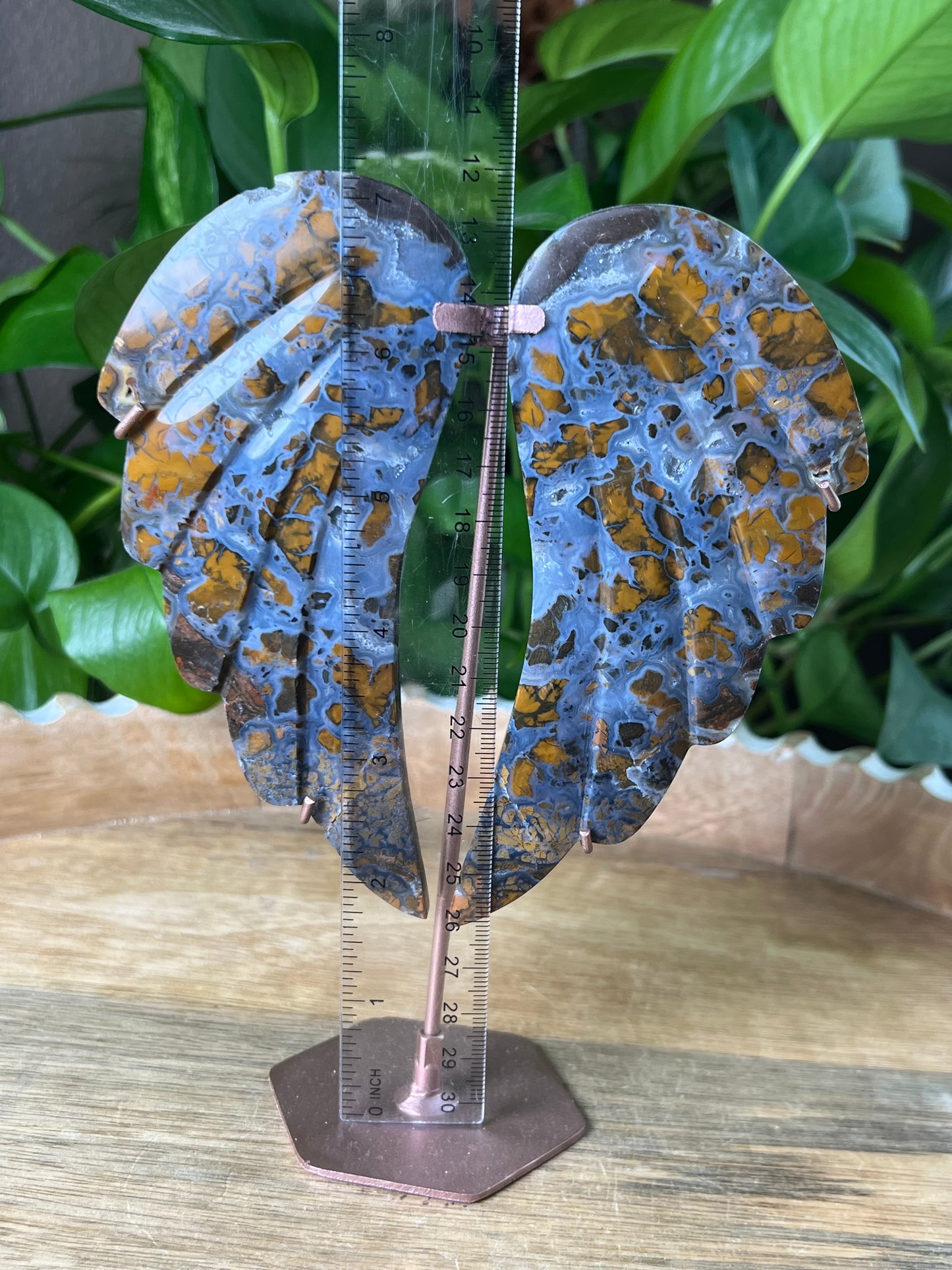 Brecciated Jasper Wings