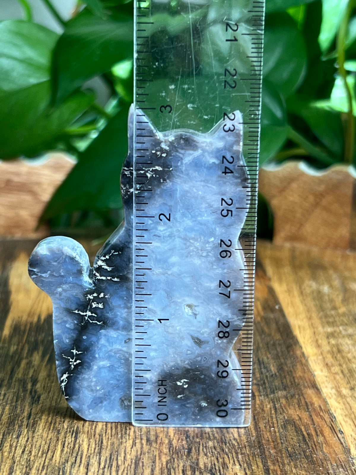 Blue Plume Agate Cat: BH