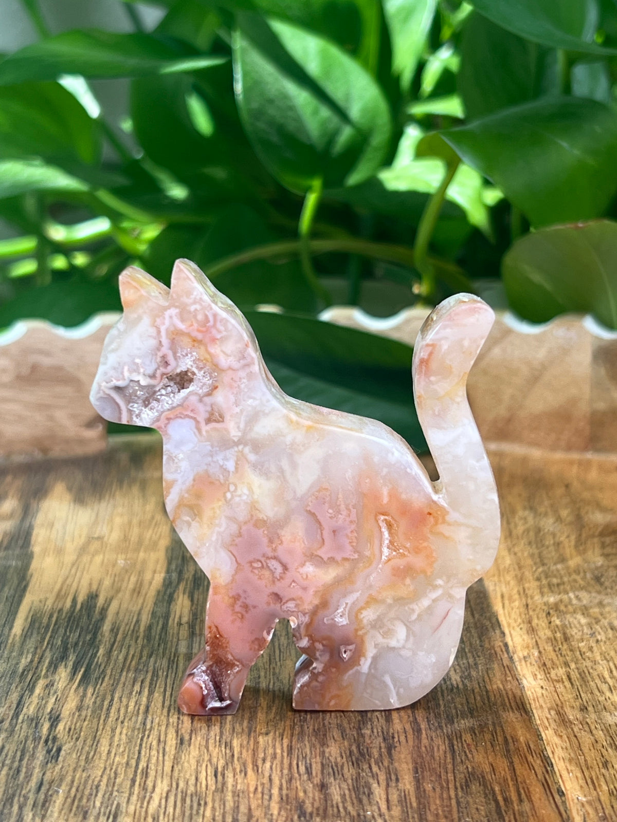 Carnelian Cat: PE