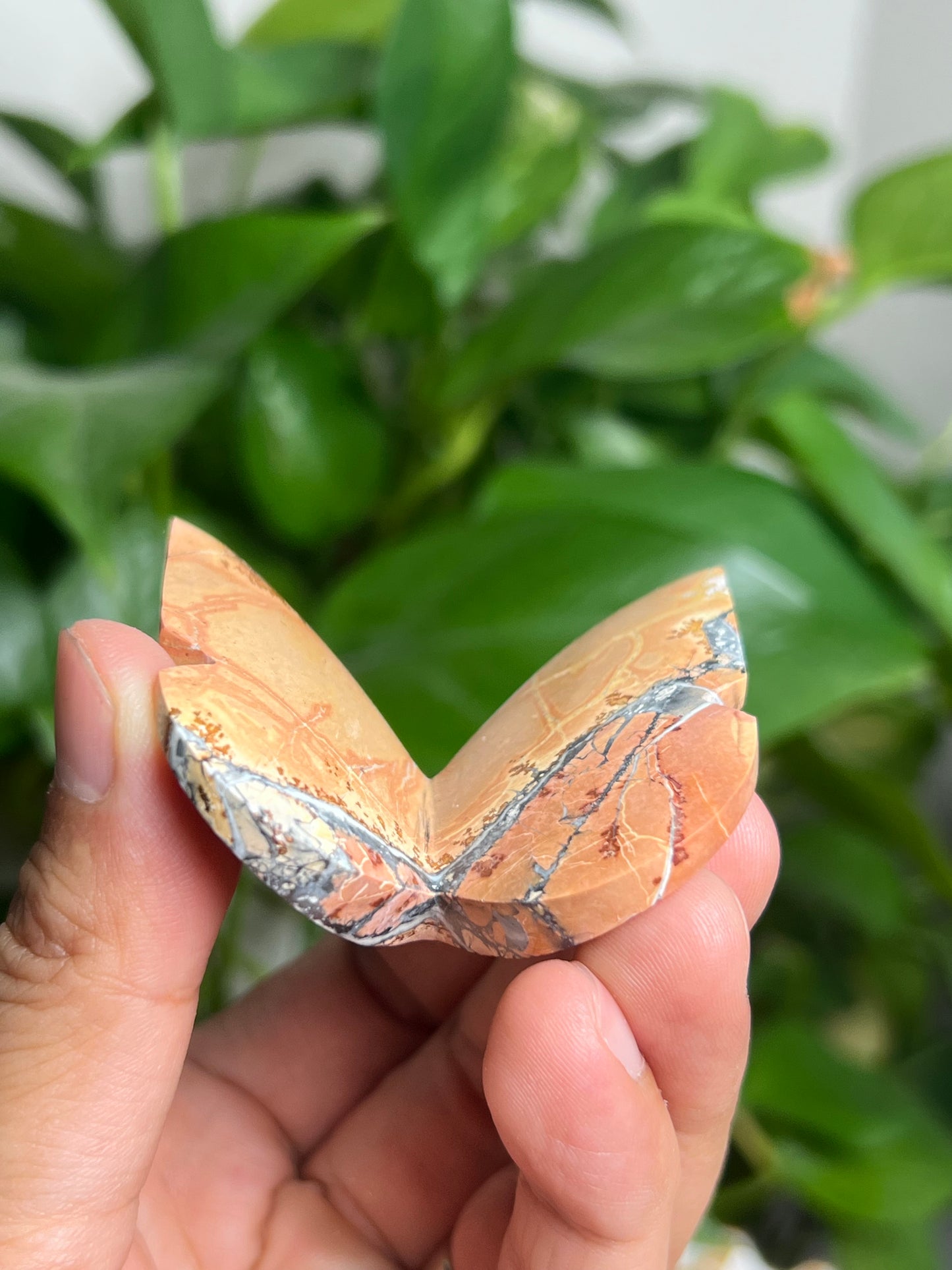 Maligano 3D Butterfly: AY