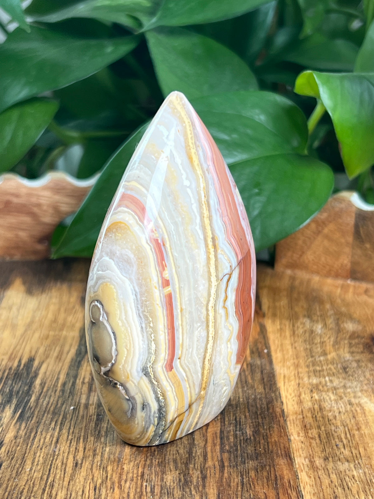 Crazy Lace Agate Flame: EH