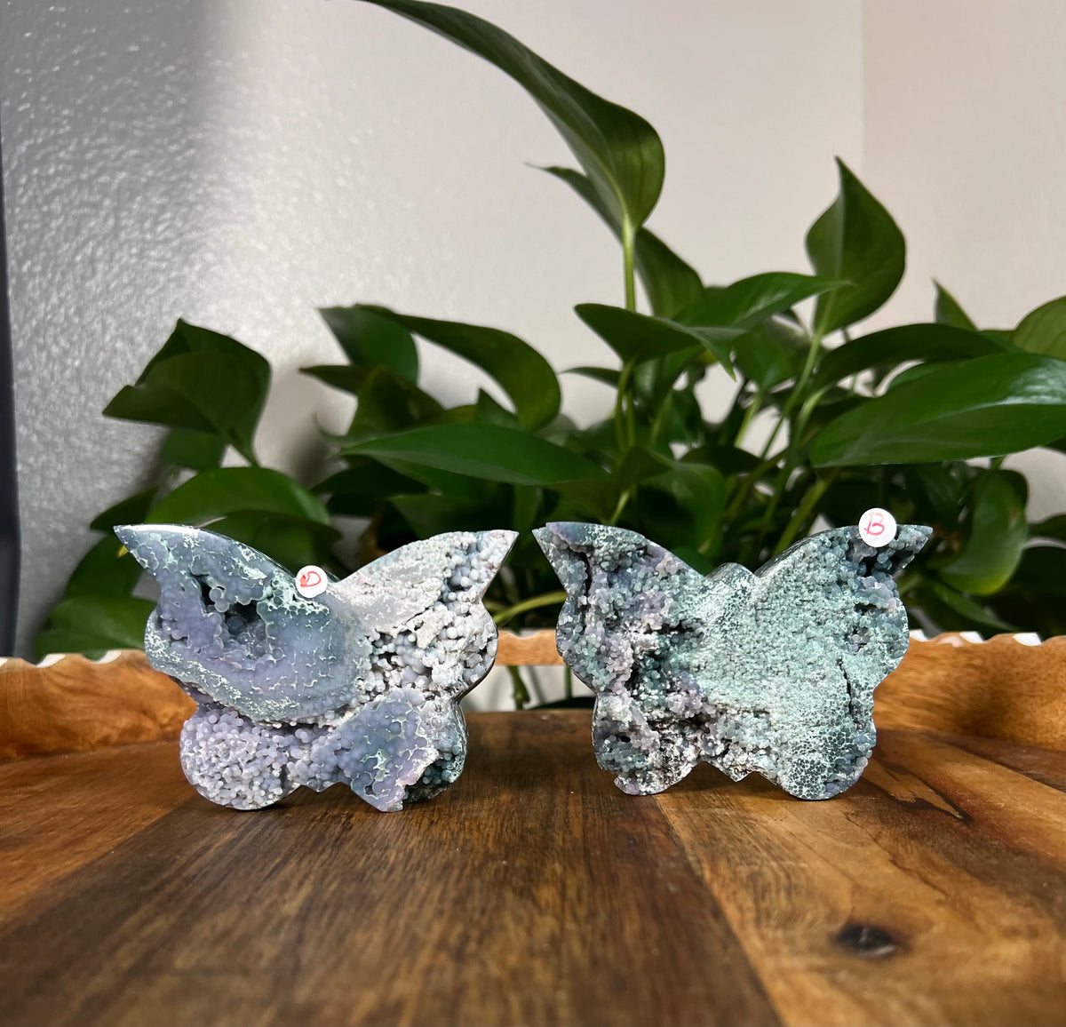 Grape Agate Butterflies