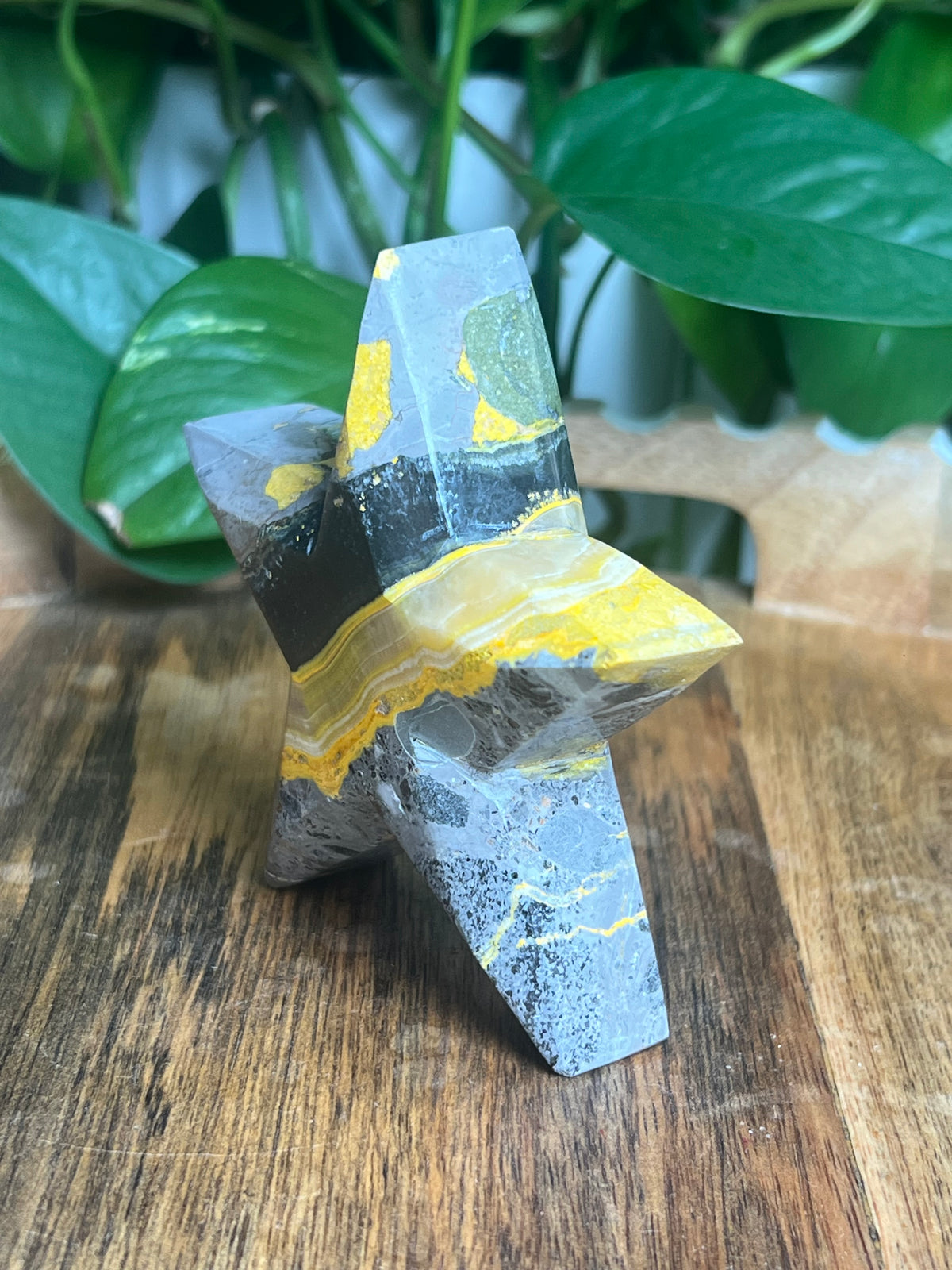Bumblebee Jasper Star: E