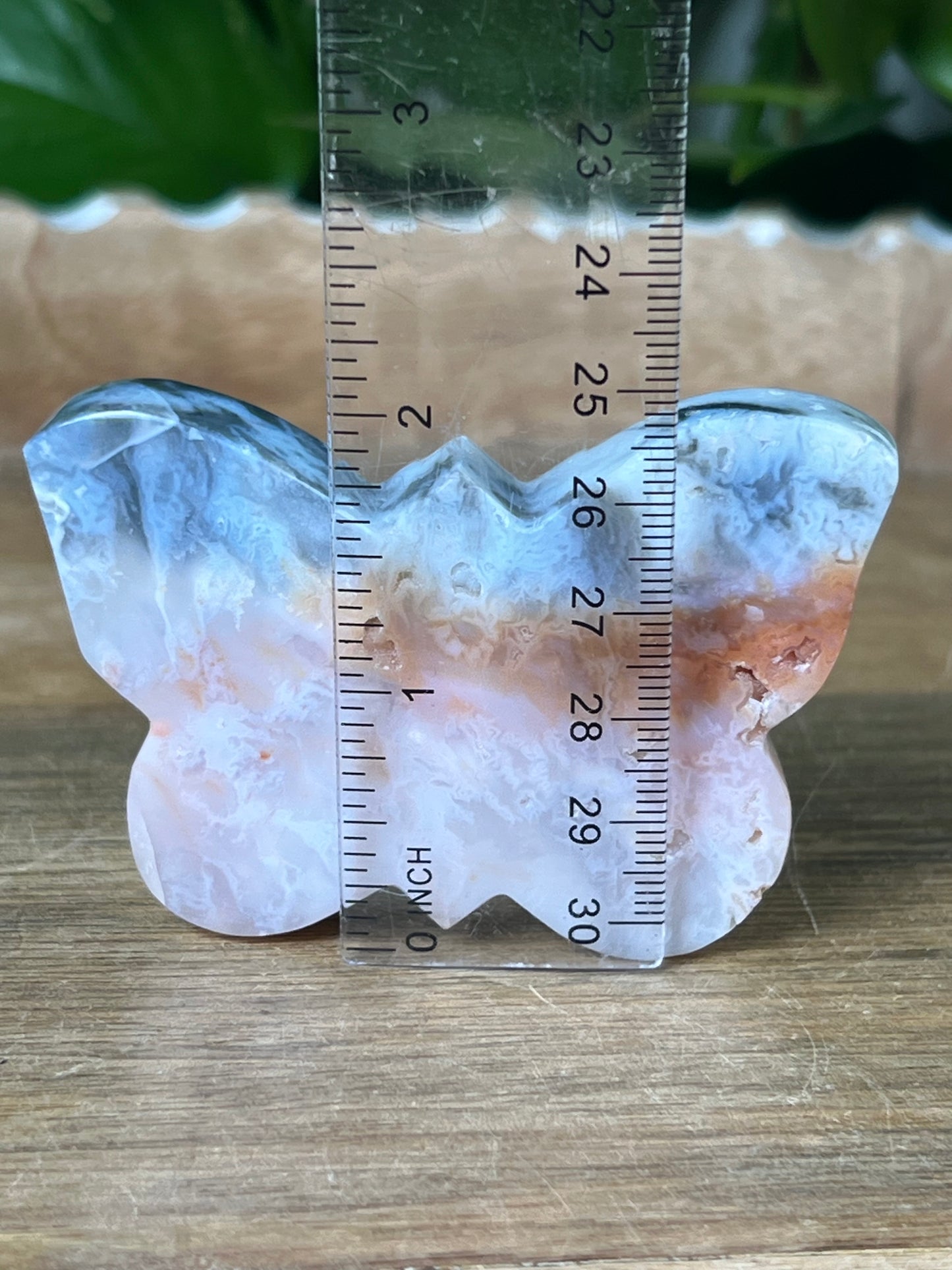 Rainbow Plume Agate Butterfly