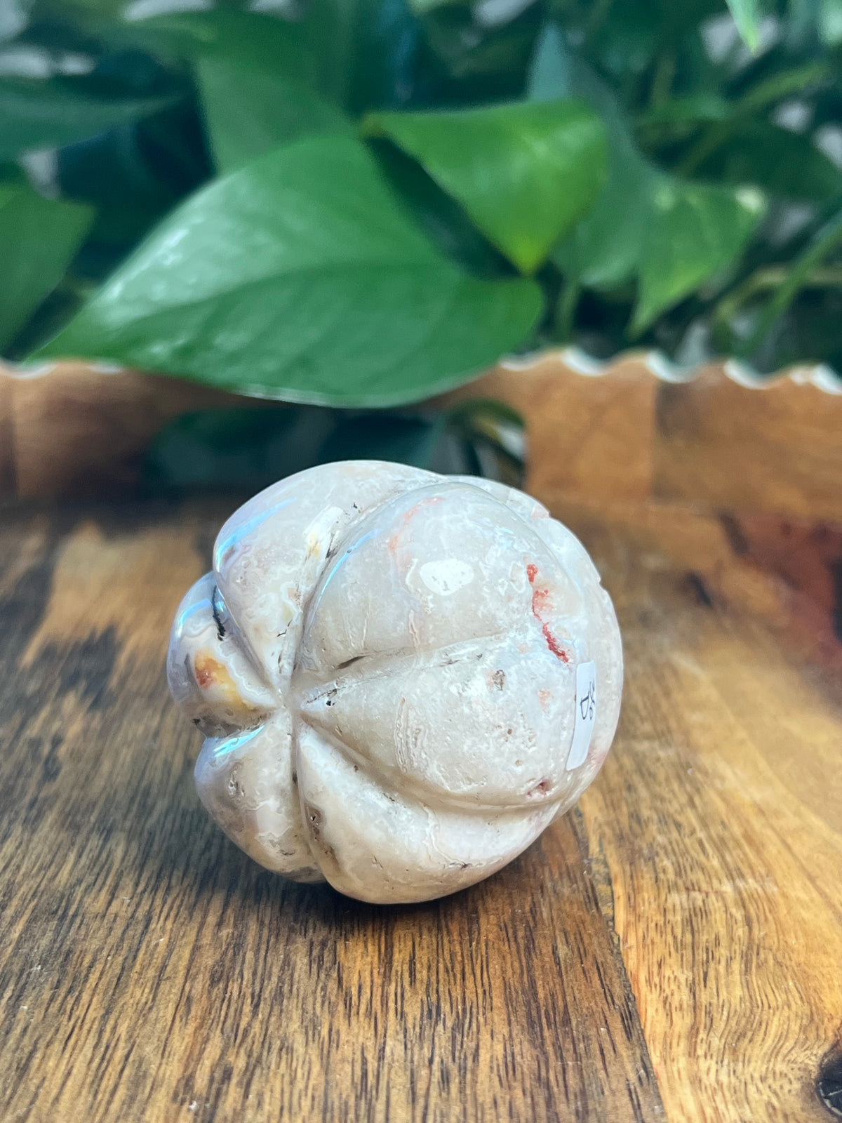 Crazy Lace Agate Pumpkin: D