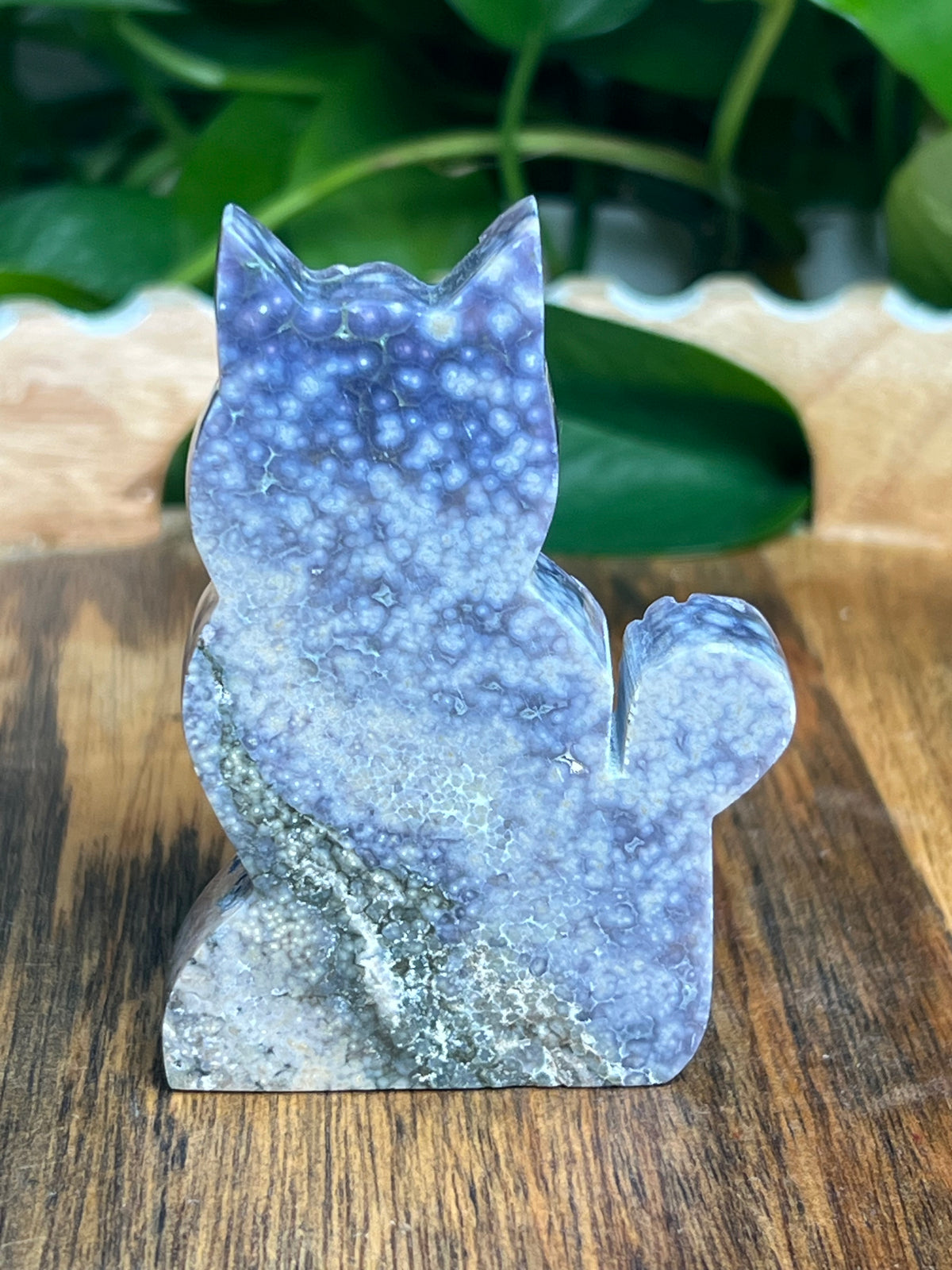 Grape Agate Cat: KS