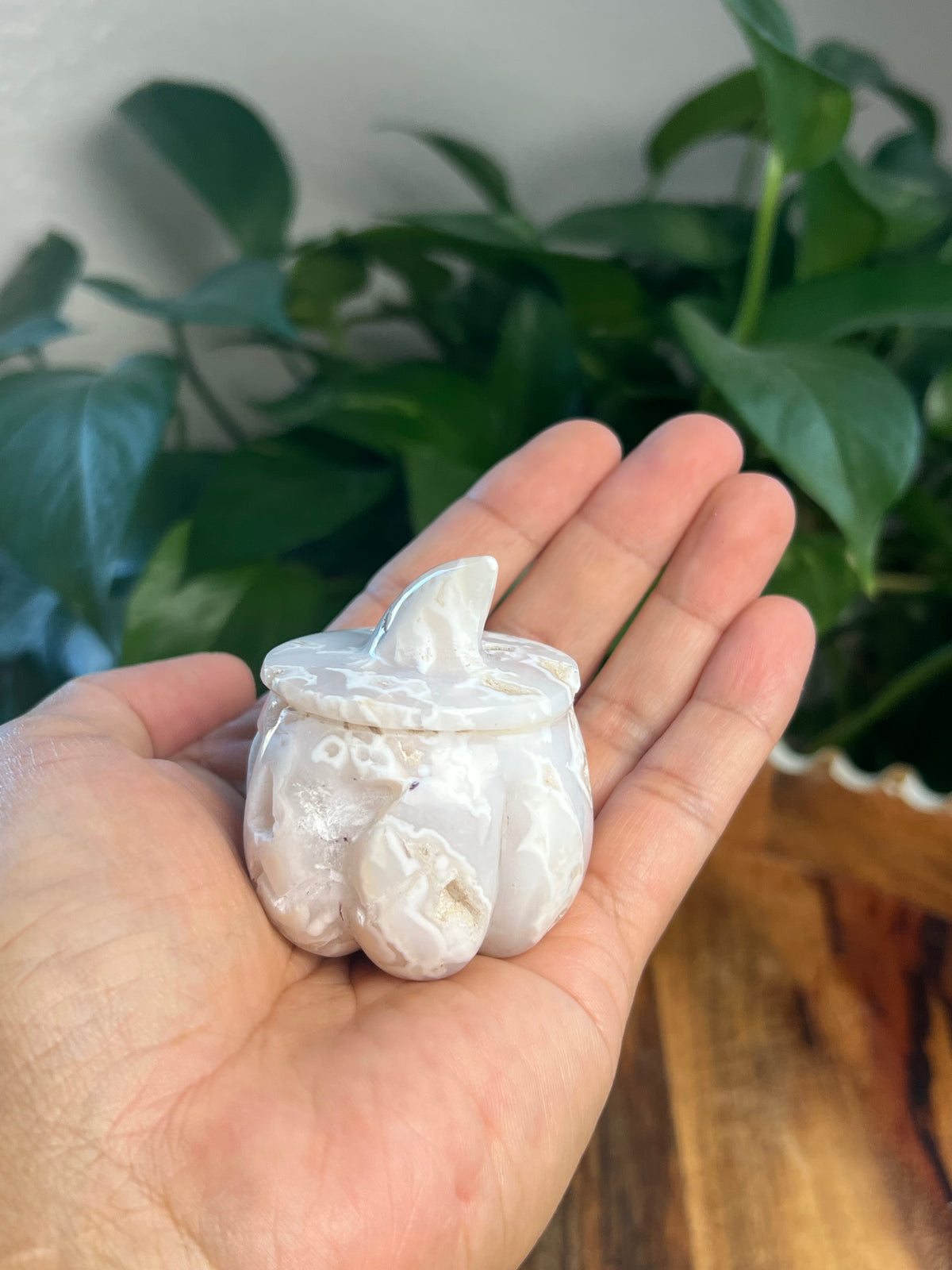 White Plume Agate Pumpkin: E