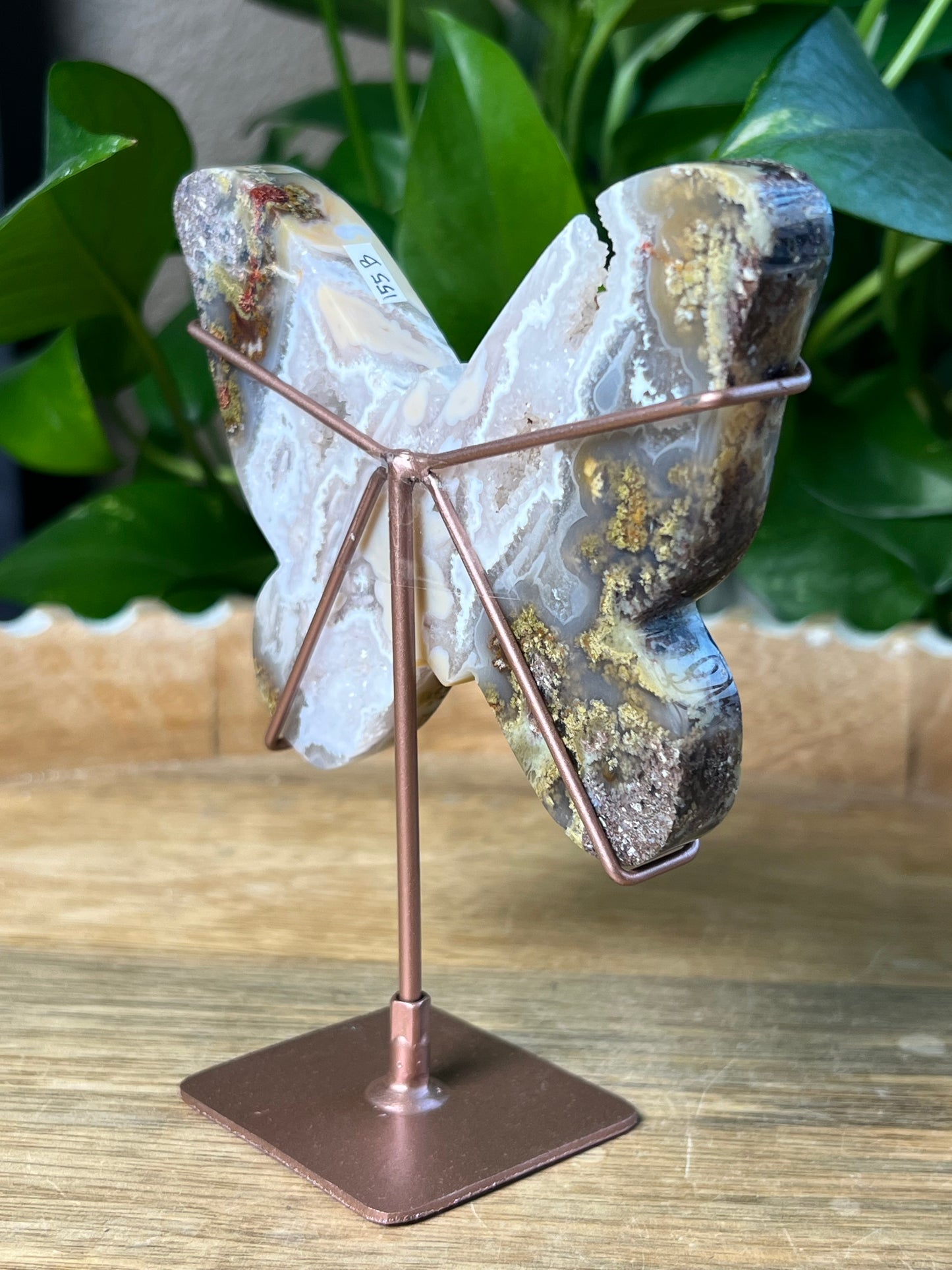 Scenic Moss Agate Butterfly