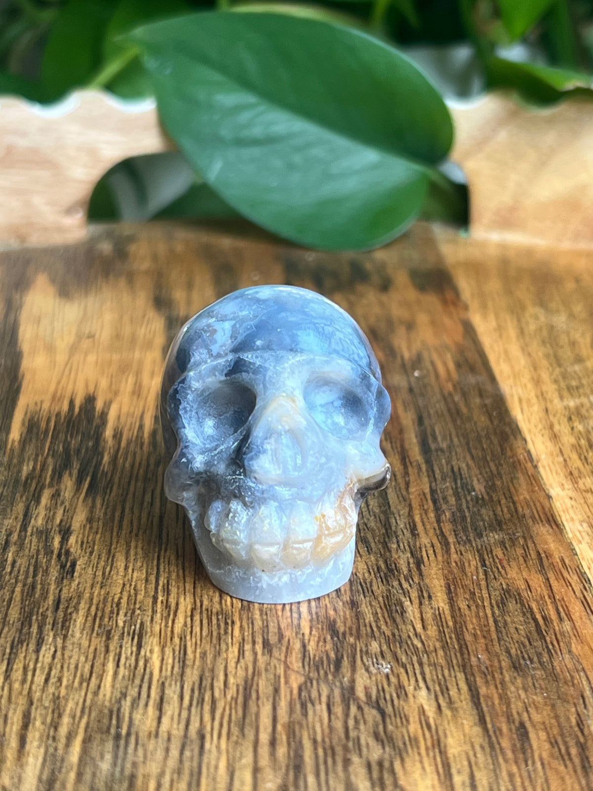 Blue Plume Agate Skull: H