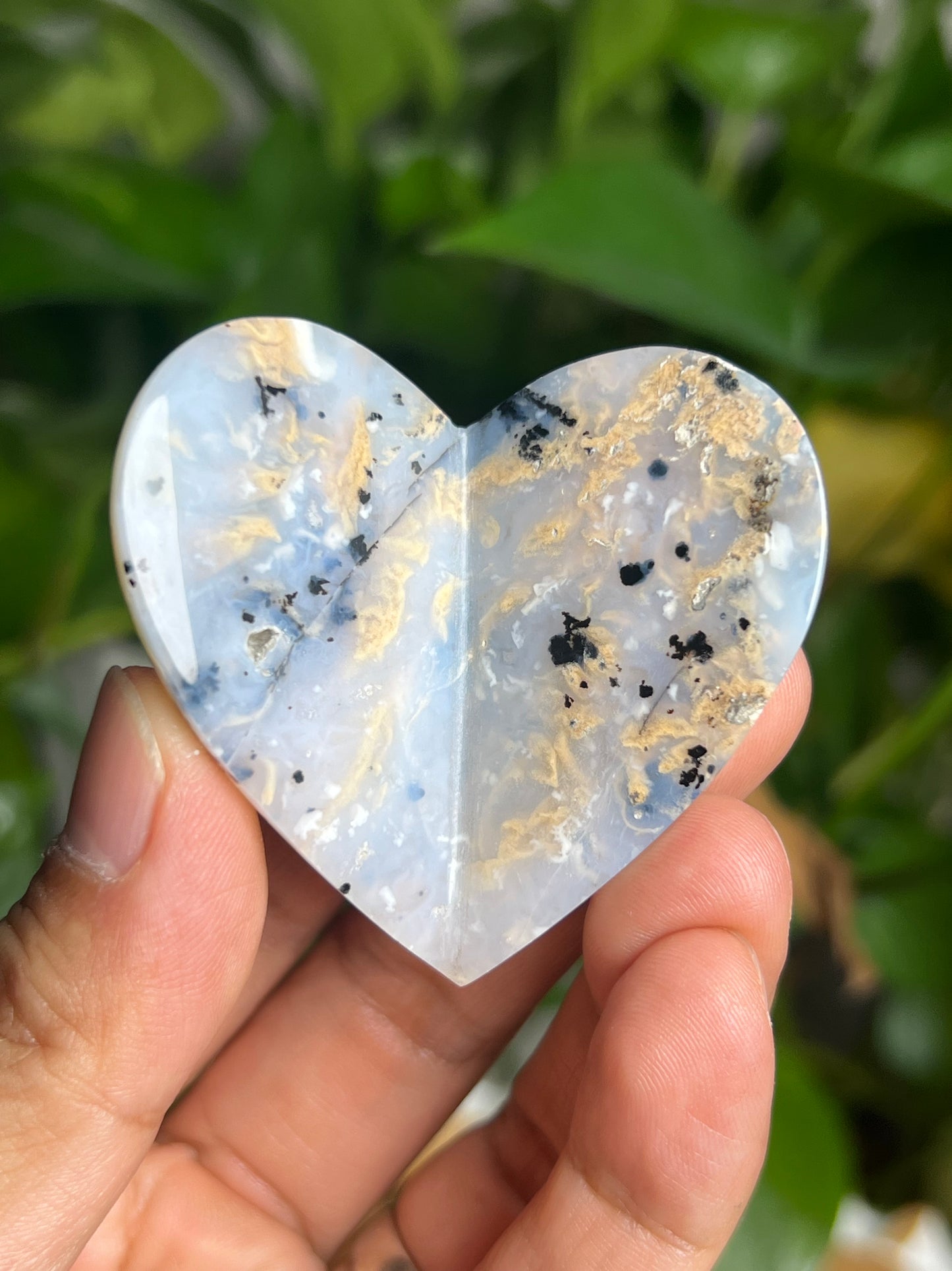 Dendritic Tiger Agate 3D Butterfly HK