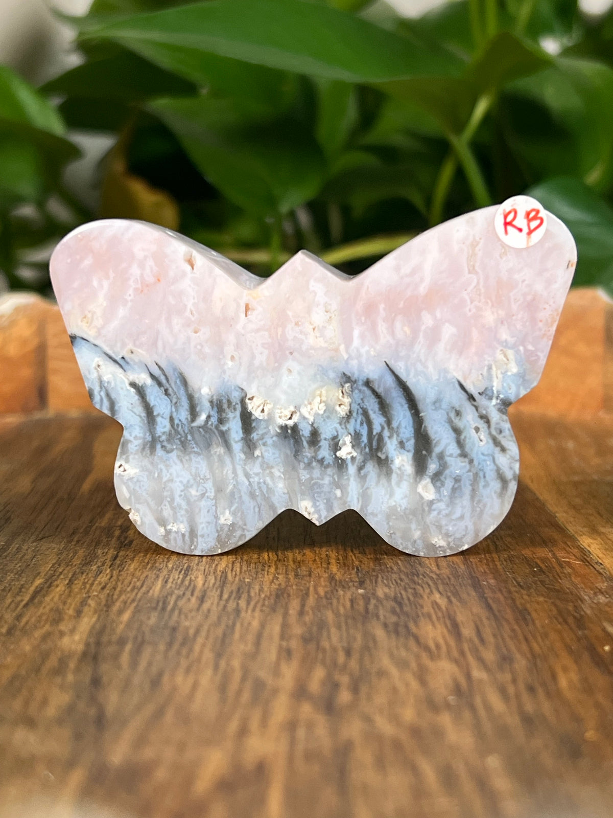 Rainbow Plume Agate Small Self Standing Butterflies