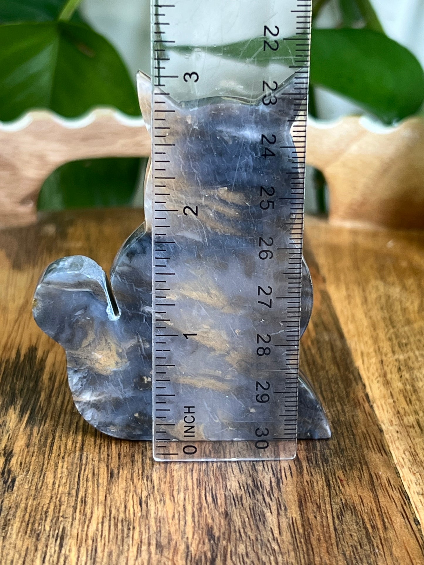 Dendritic Tiger Agate Cat AY