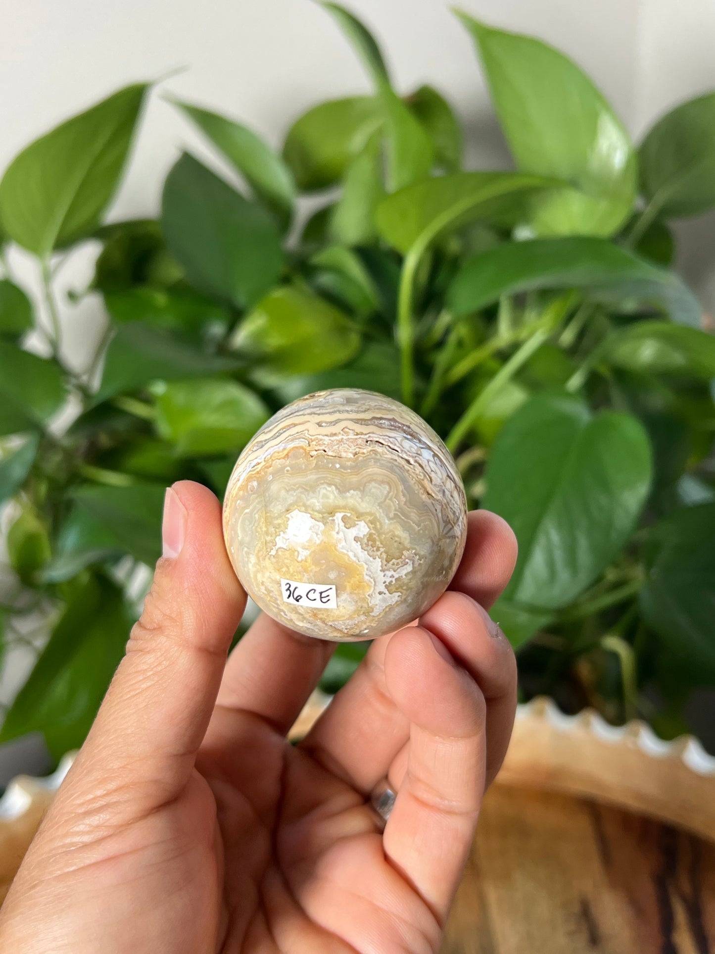 Crazy Lace Agate Egg