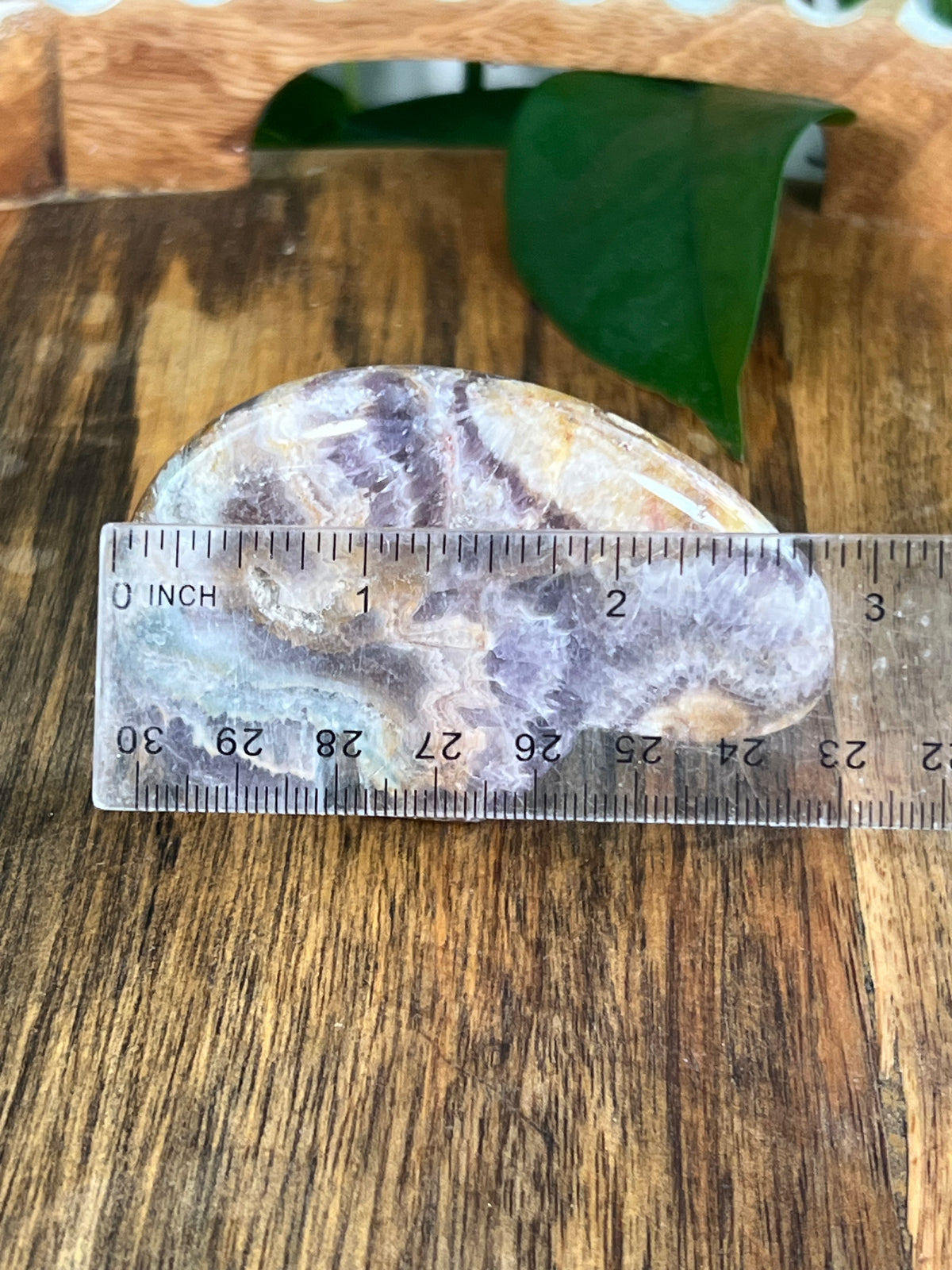 Indonesian Amethyst Bear: SQ