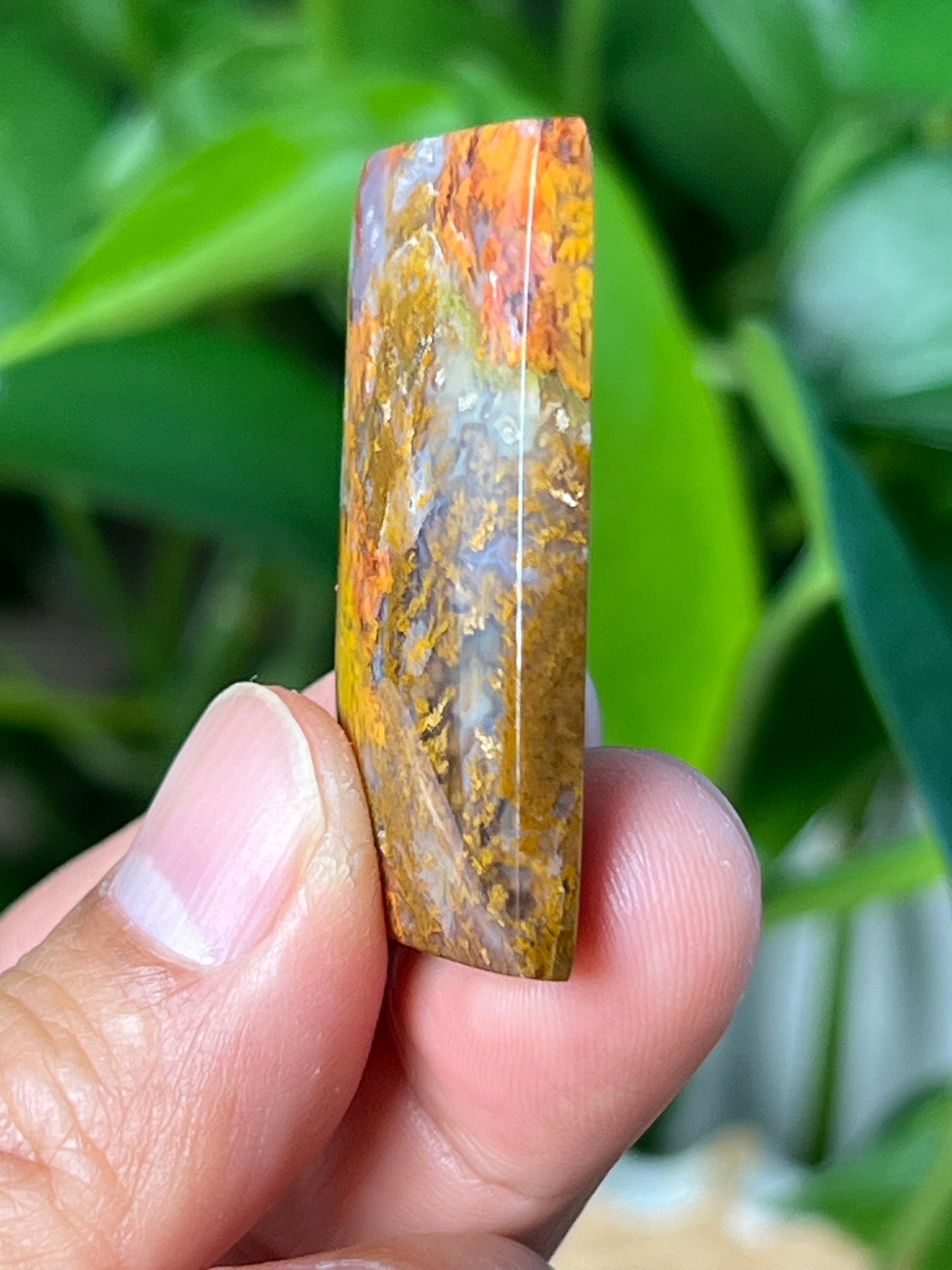 Scenic Moss Agate Cabochon