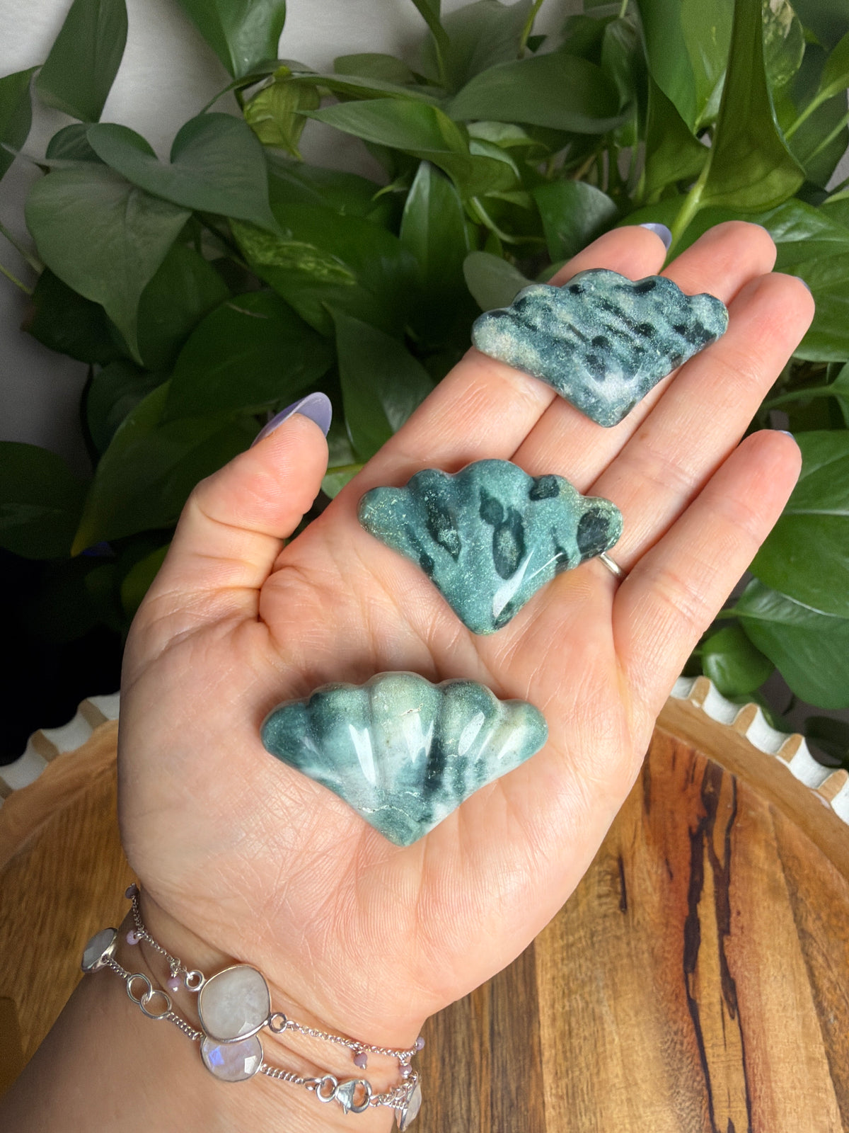 Blue Green Jasper Shells