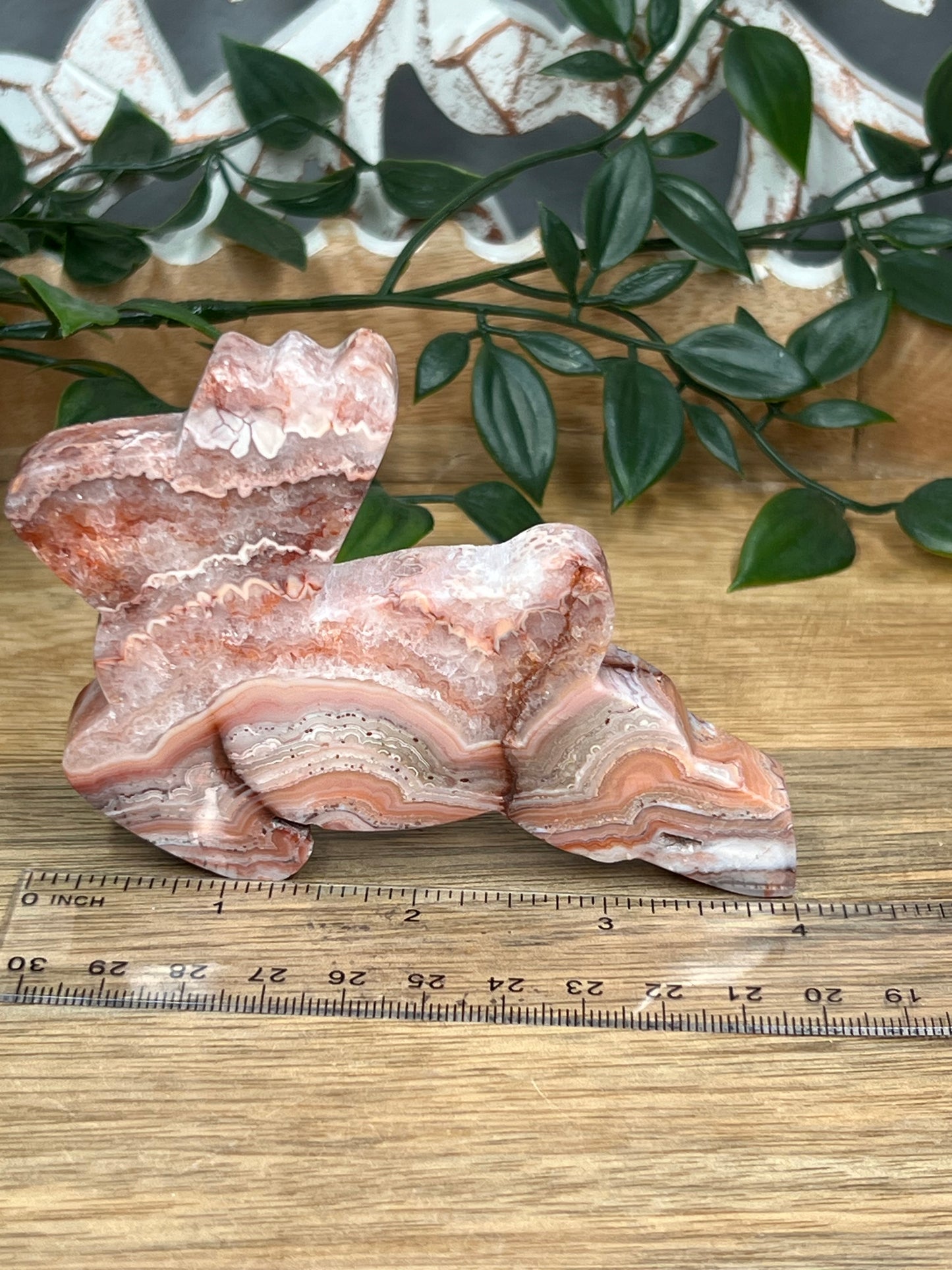 Pink Crazy Lace Agate Deer