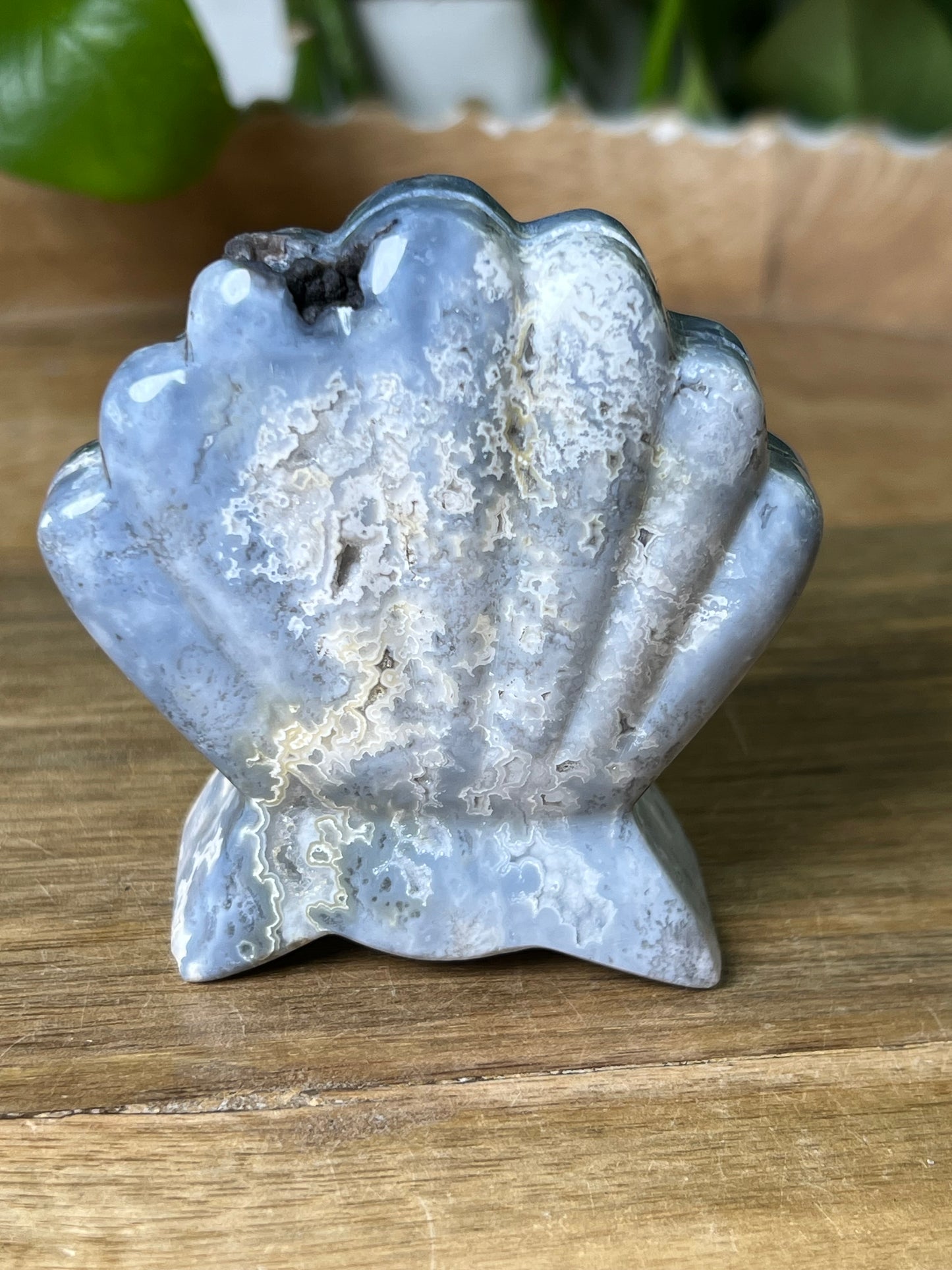 Blue Plume Agate Shell