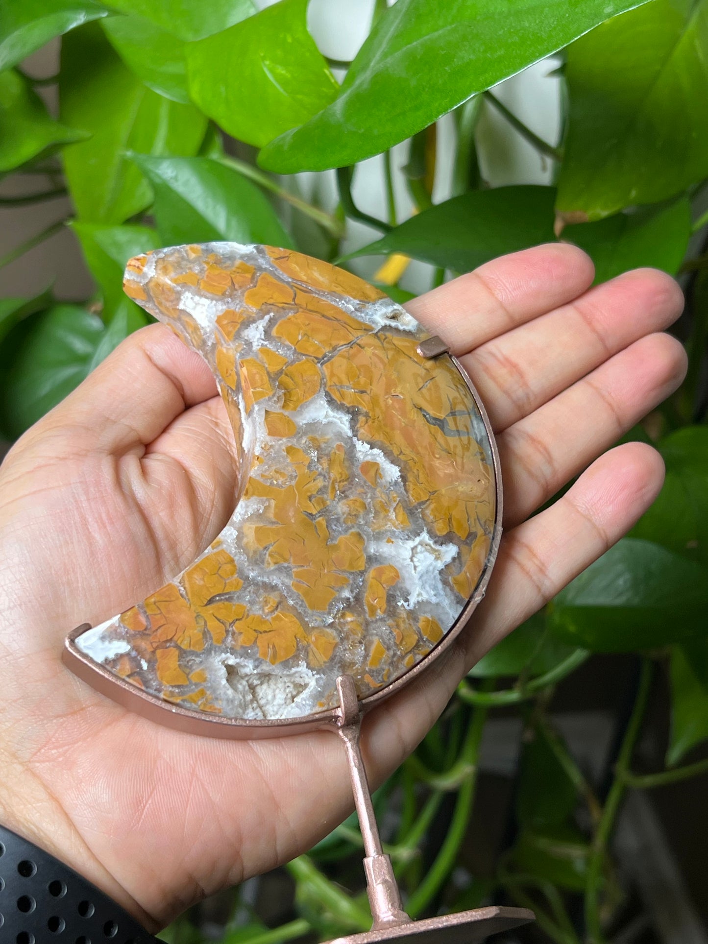 Brecciated Jasper Moon