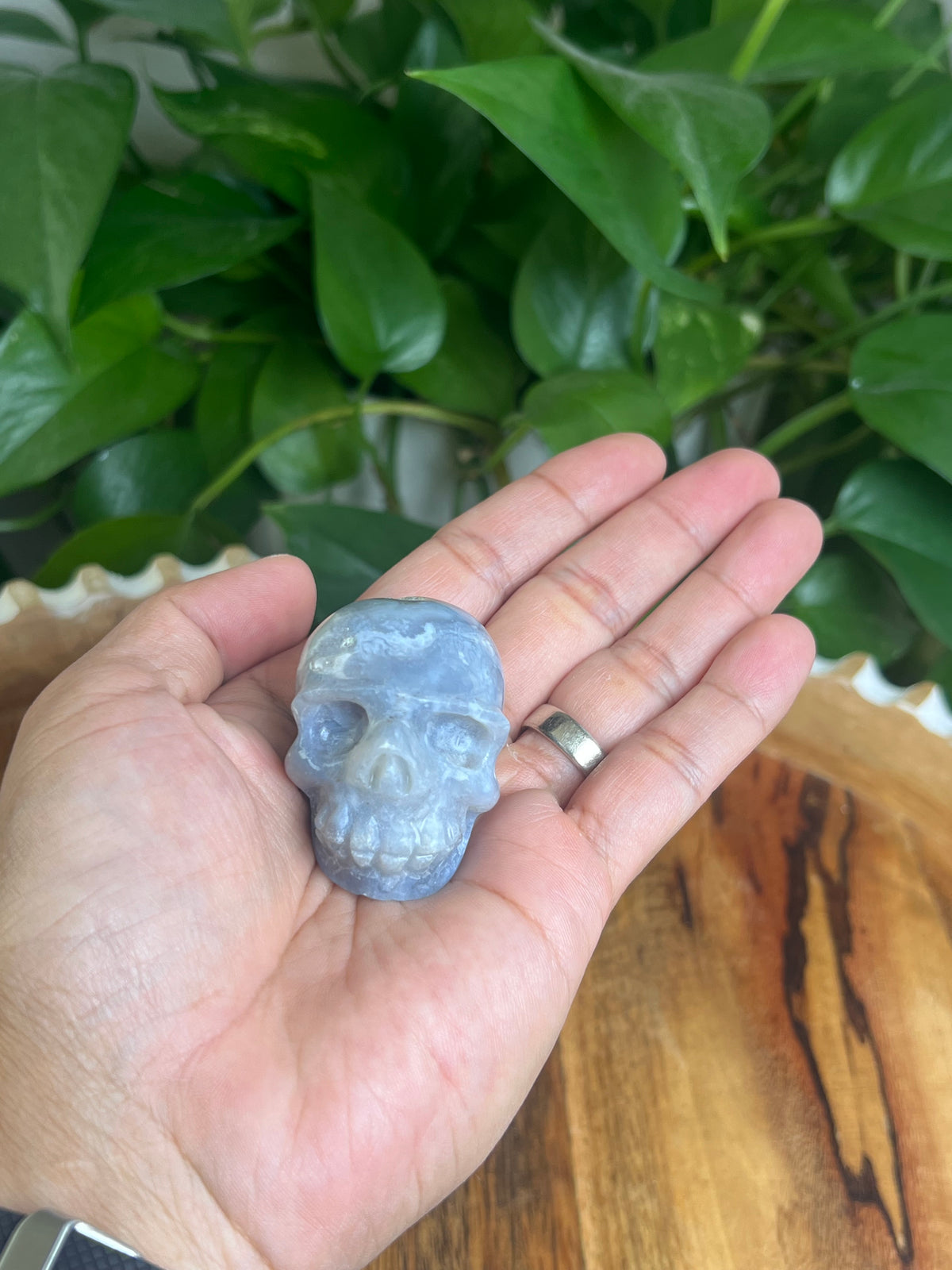 Blue Plume Agate Skull: G