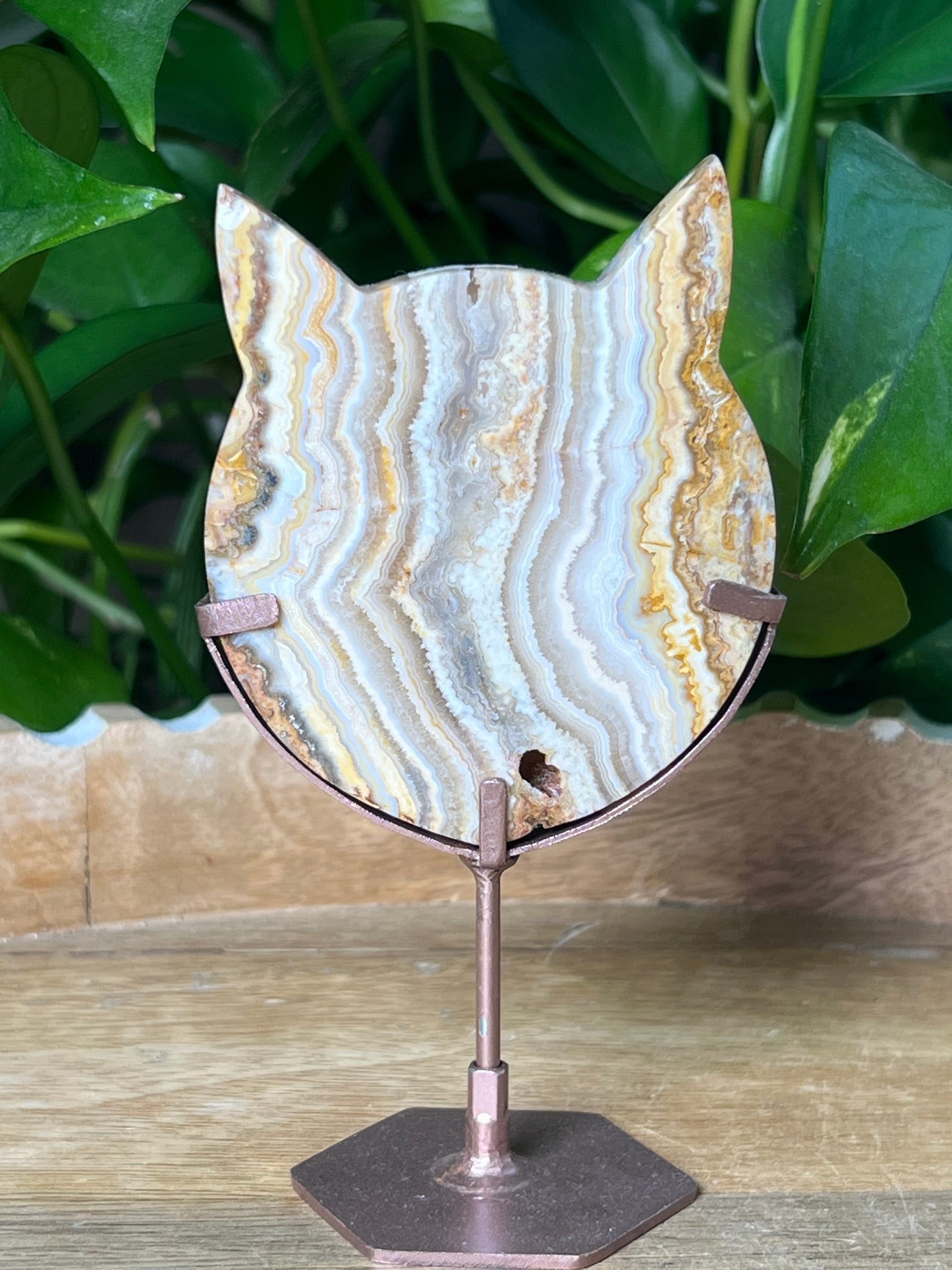 Crazy Lace Agate Cat Head