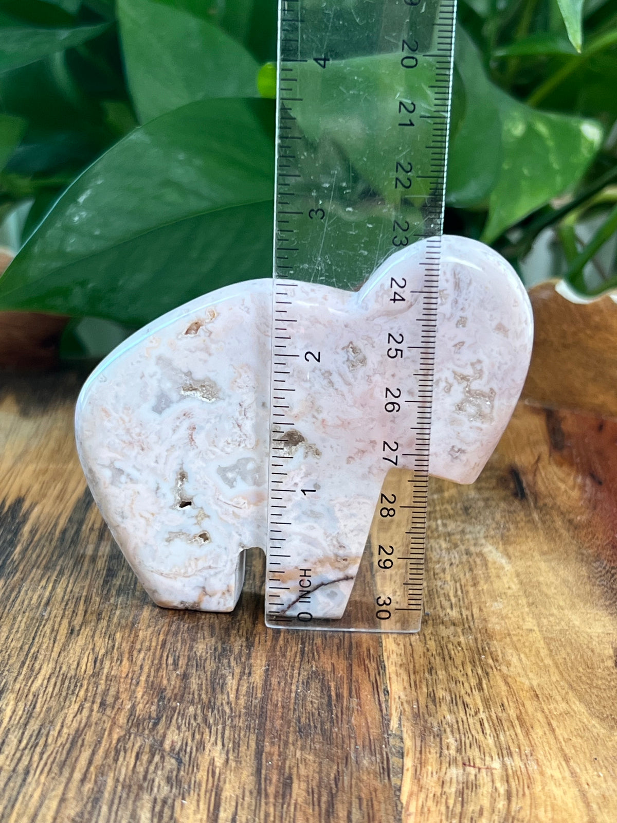 Pink Carnelian Buffalo: VA