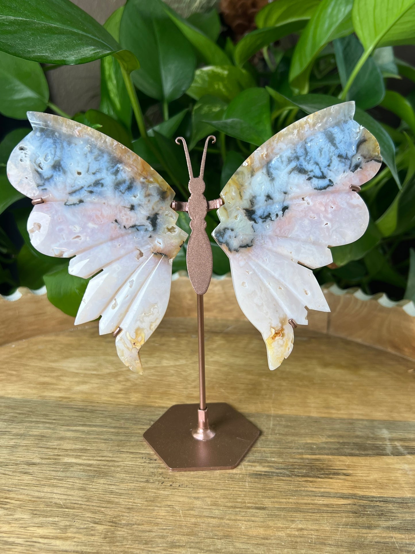 Rainbow Plume Agate Wings