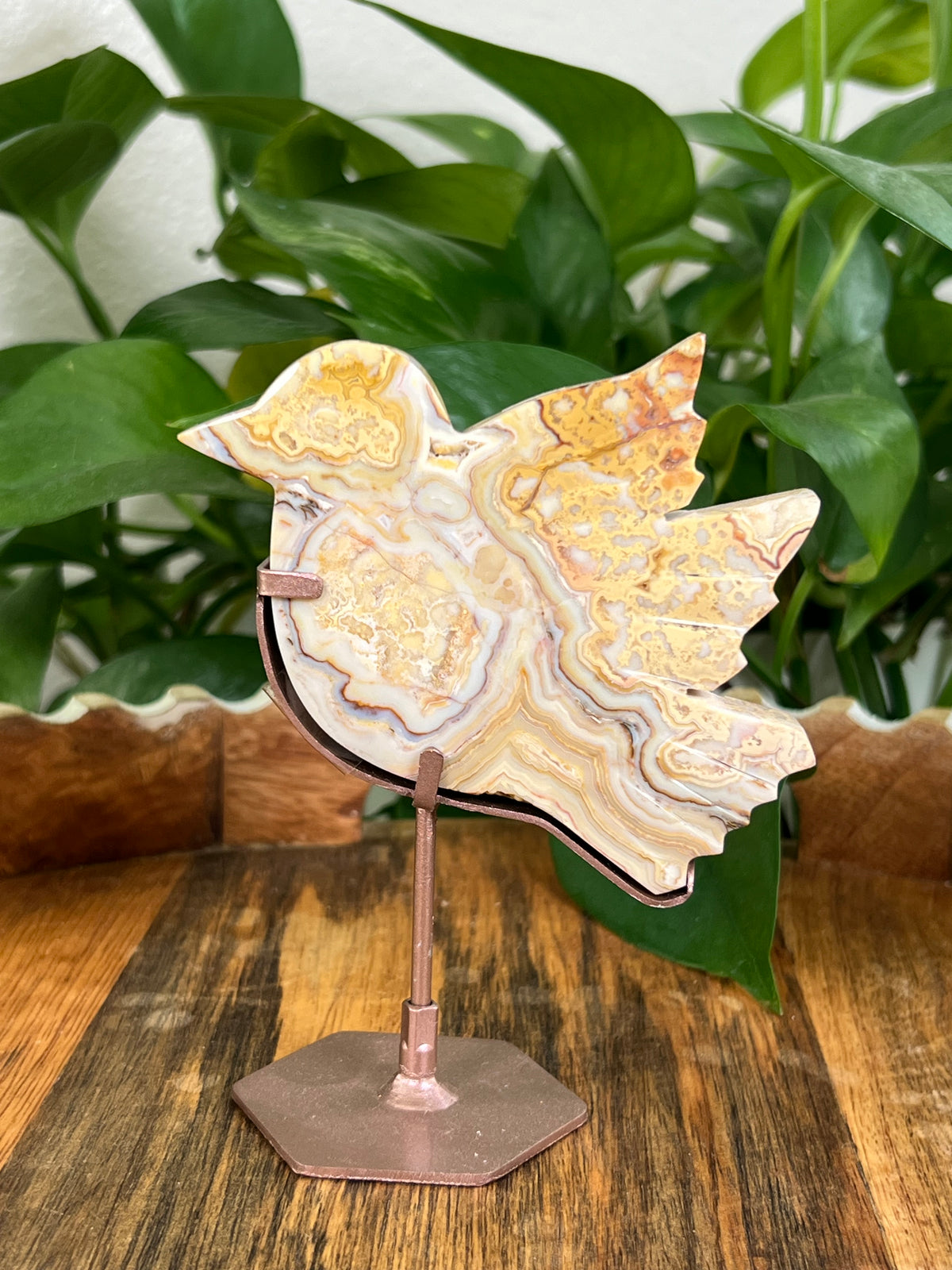 Crazy Lace Agate Birds