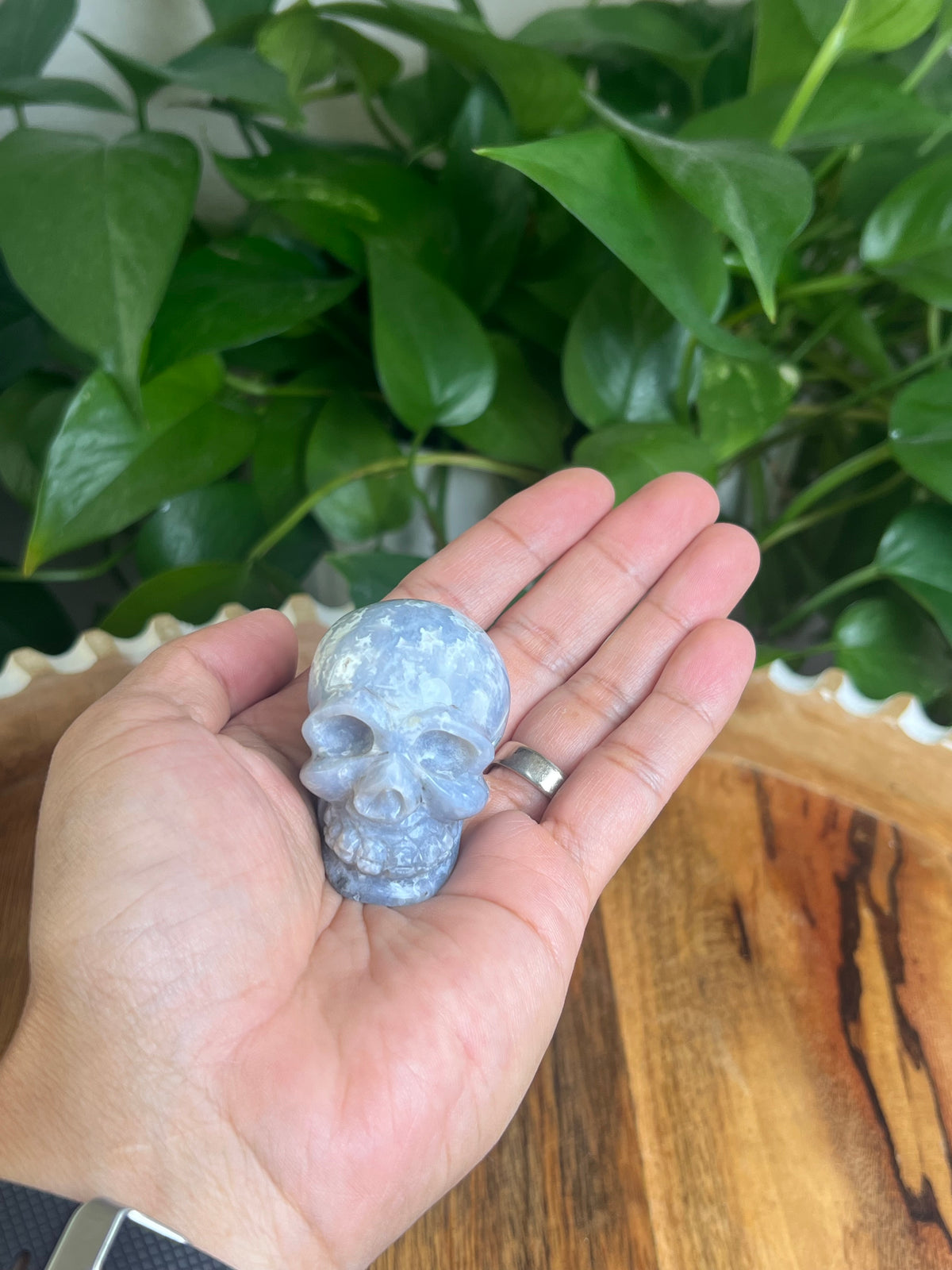 Blue Plume Agate Skull: BA