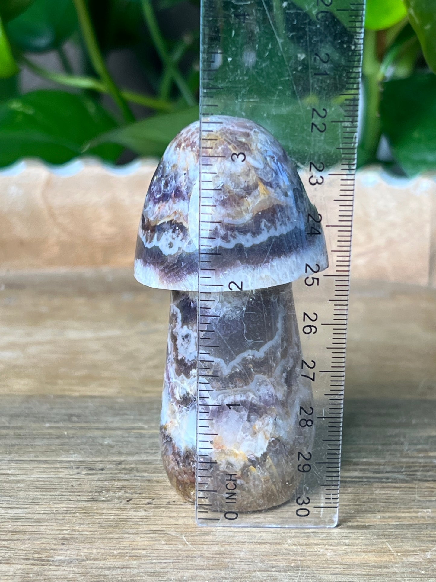 Indonesia Amethyst Mushroom: TG