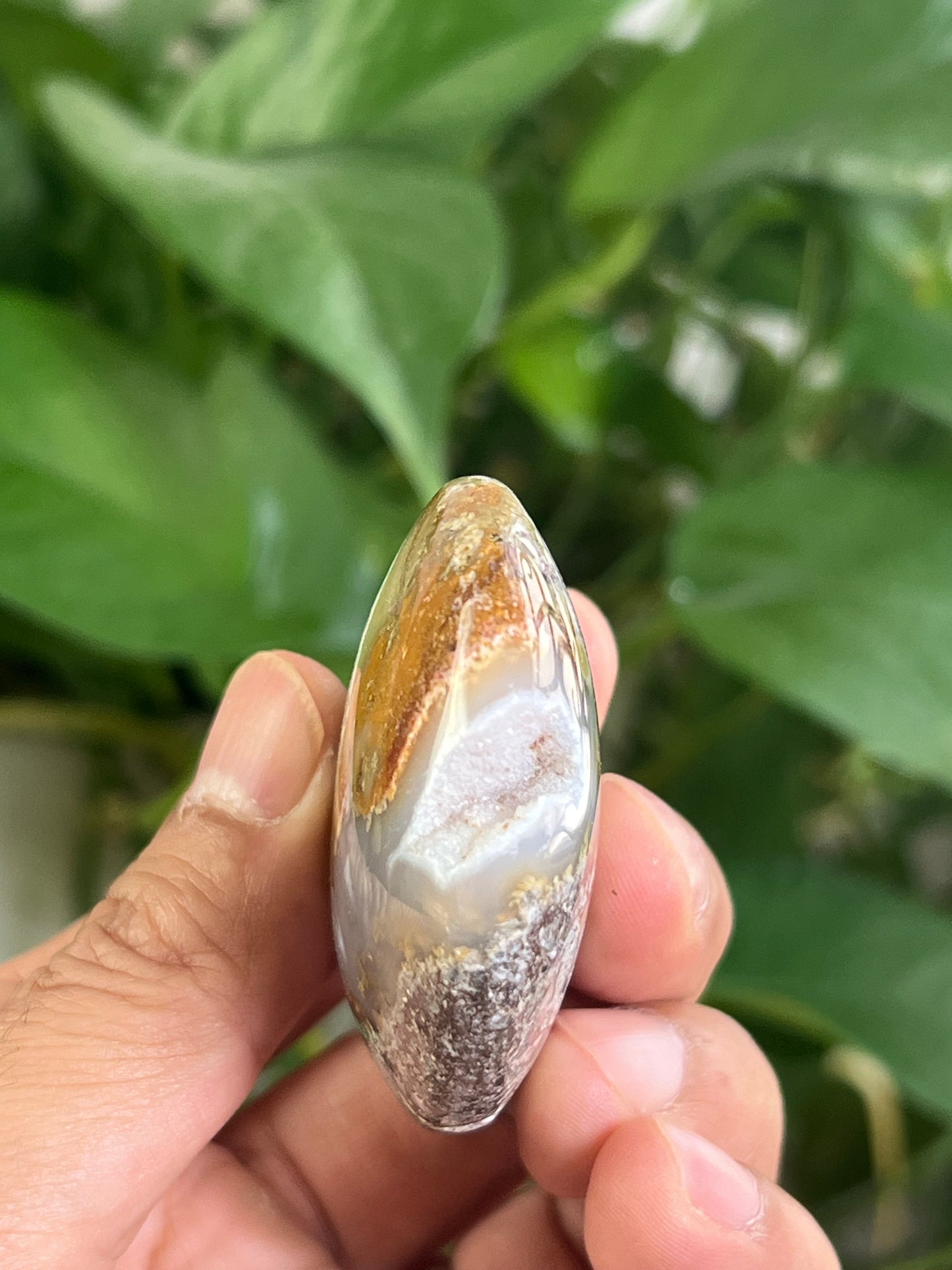 Scenic Moss Agate Palmstone: CH
