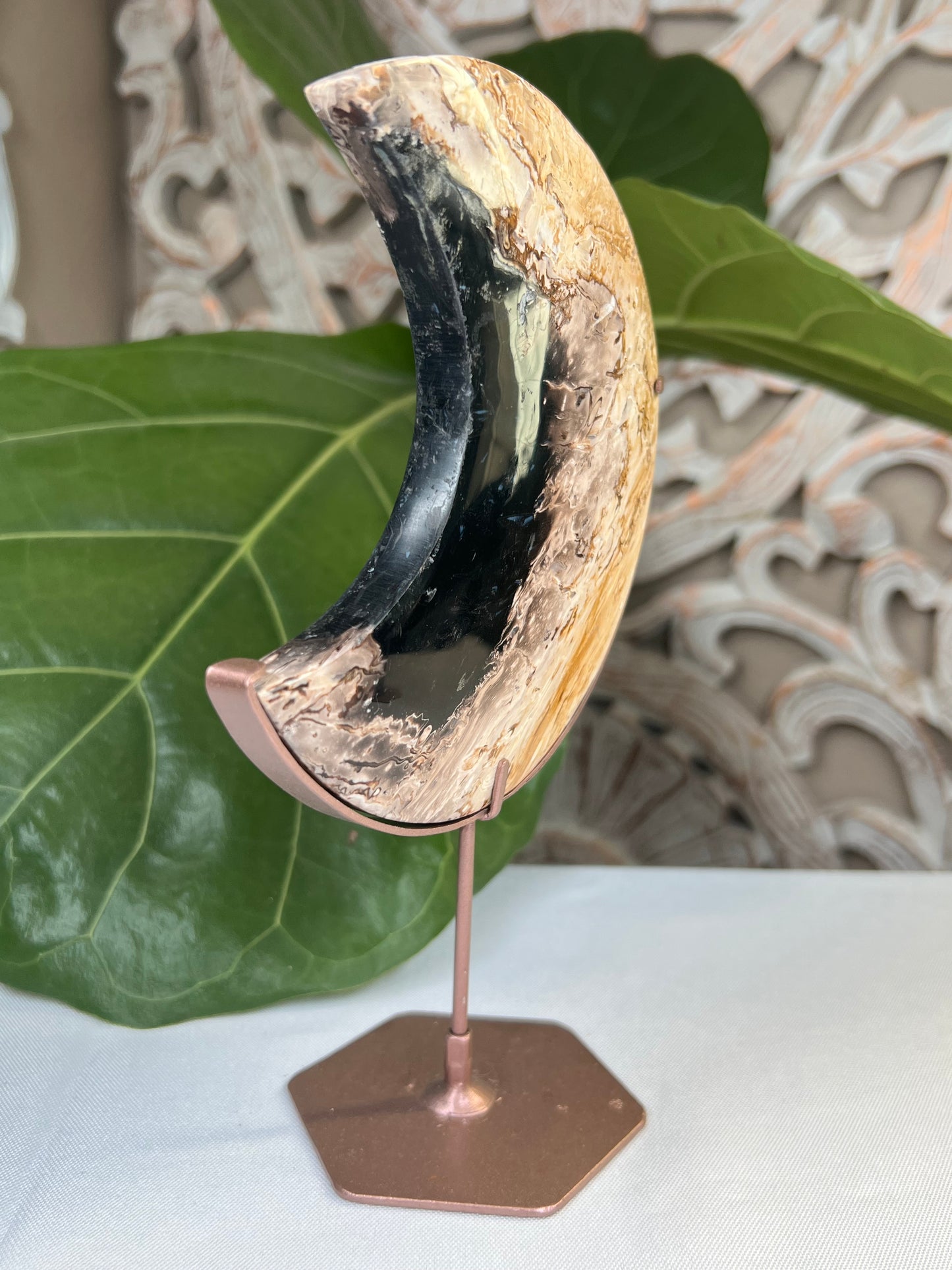 Palm Root Moon
