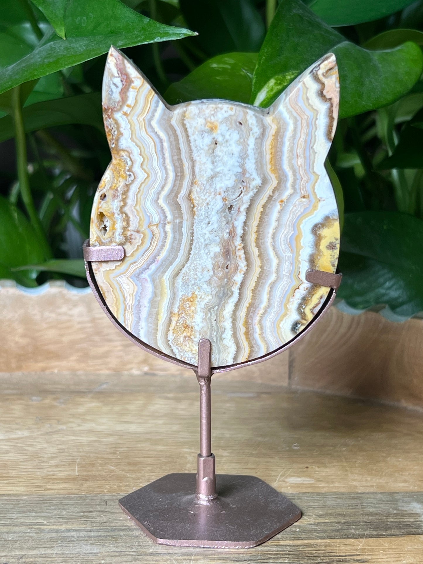 Crazy Lace Agate Cat Head