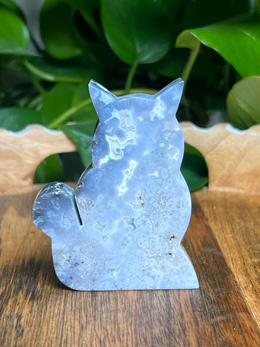 Blue Plume Agate Cat: BB