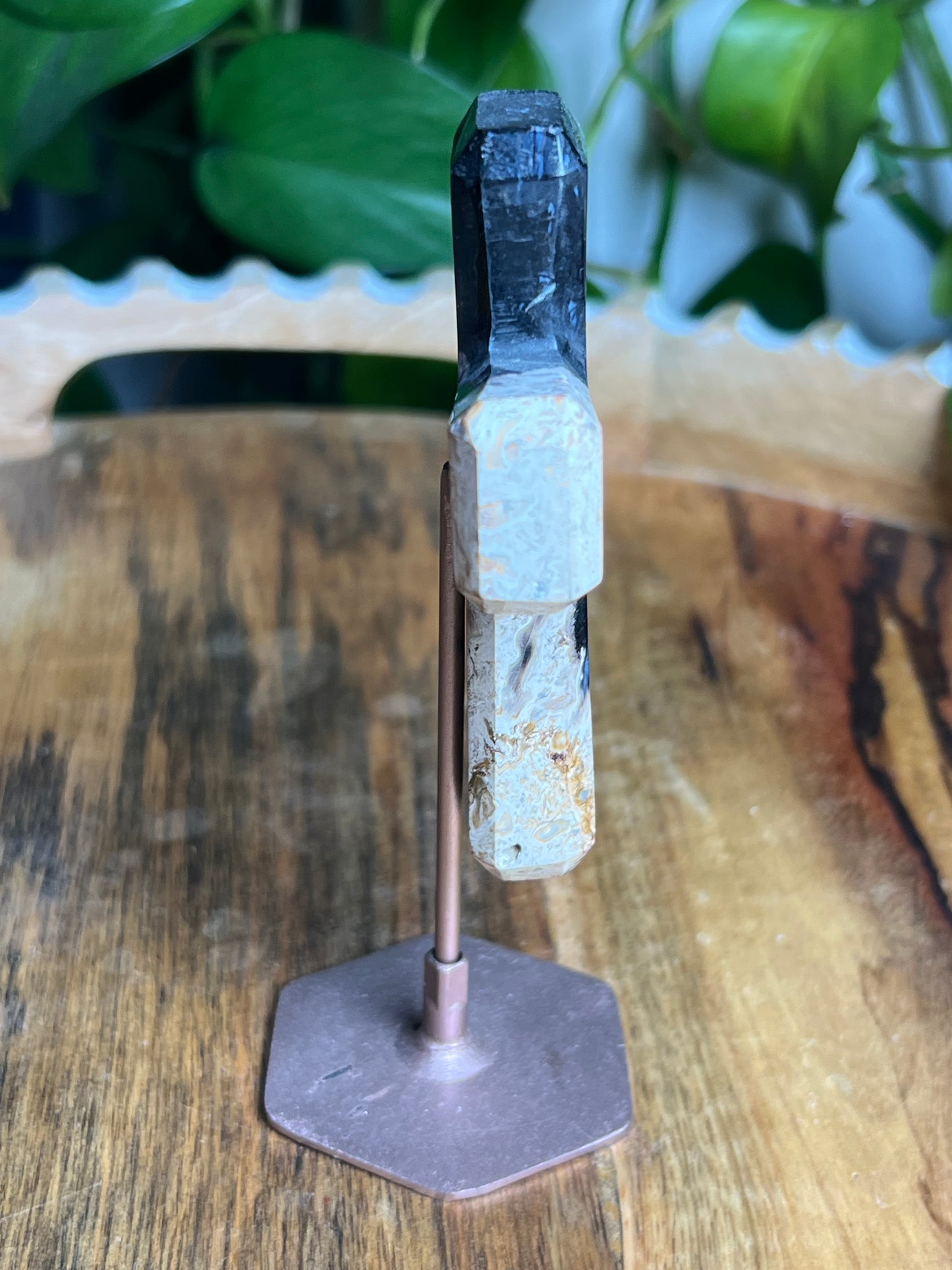 Palm Root Cross