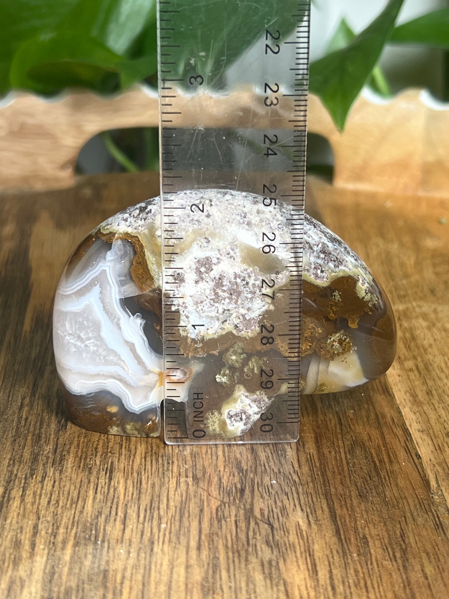 Scenic Moss Agate Bear BK