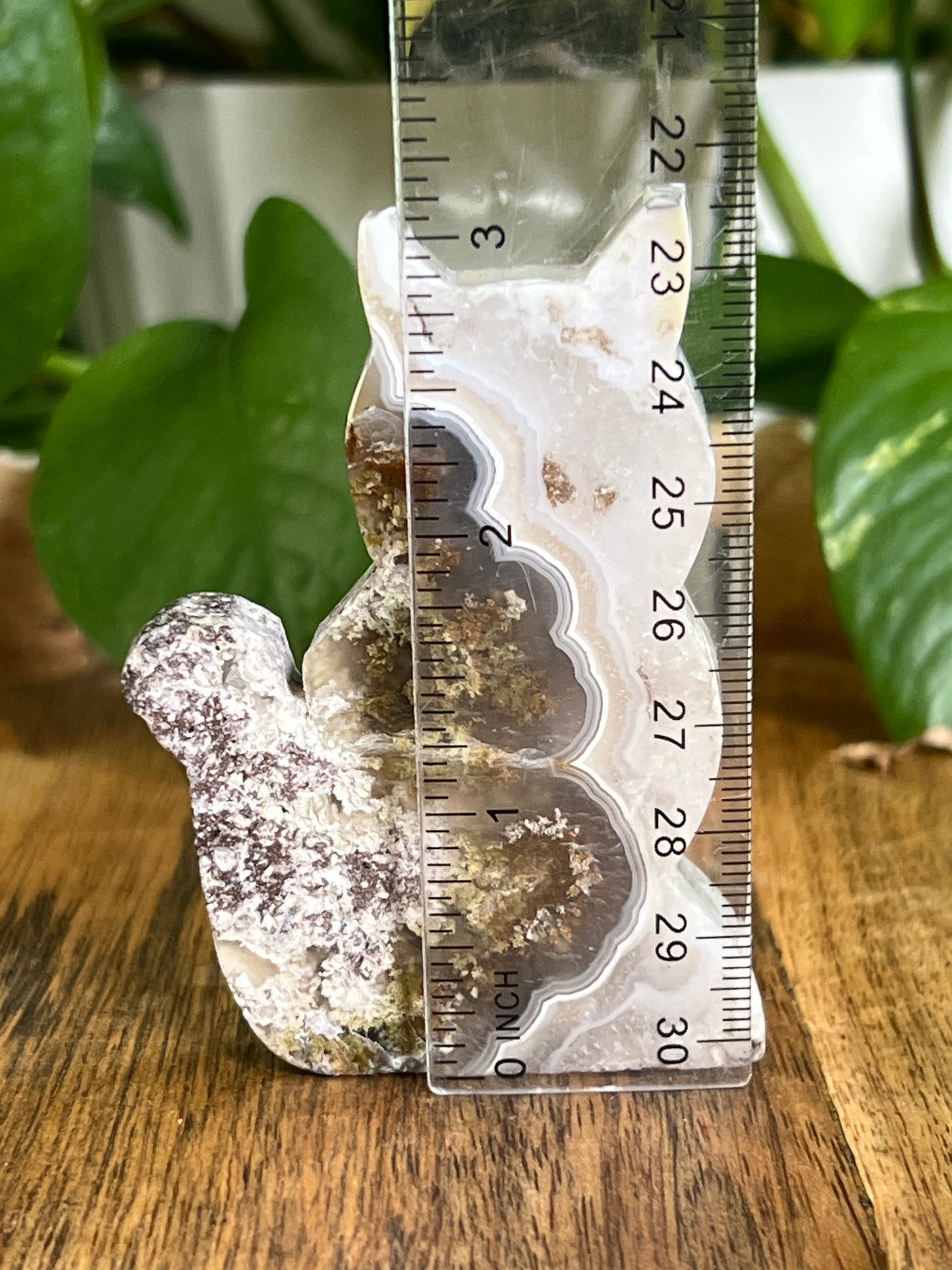 Scenic Moss Agate Cat HN