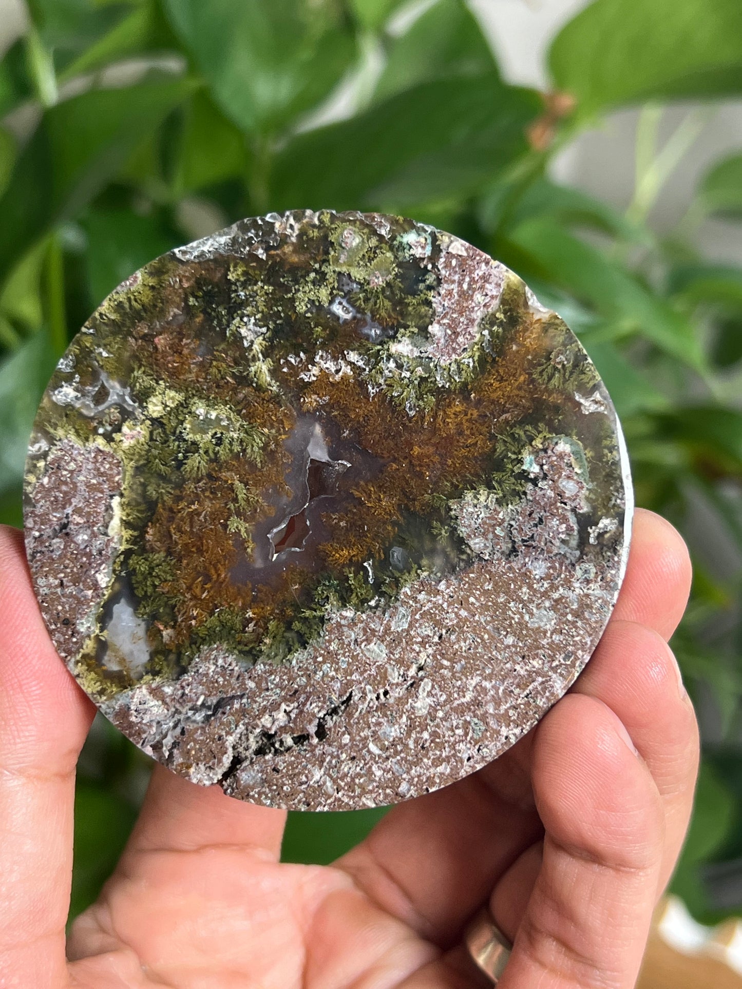 Scenic Moss Agate Coaster: AN